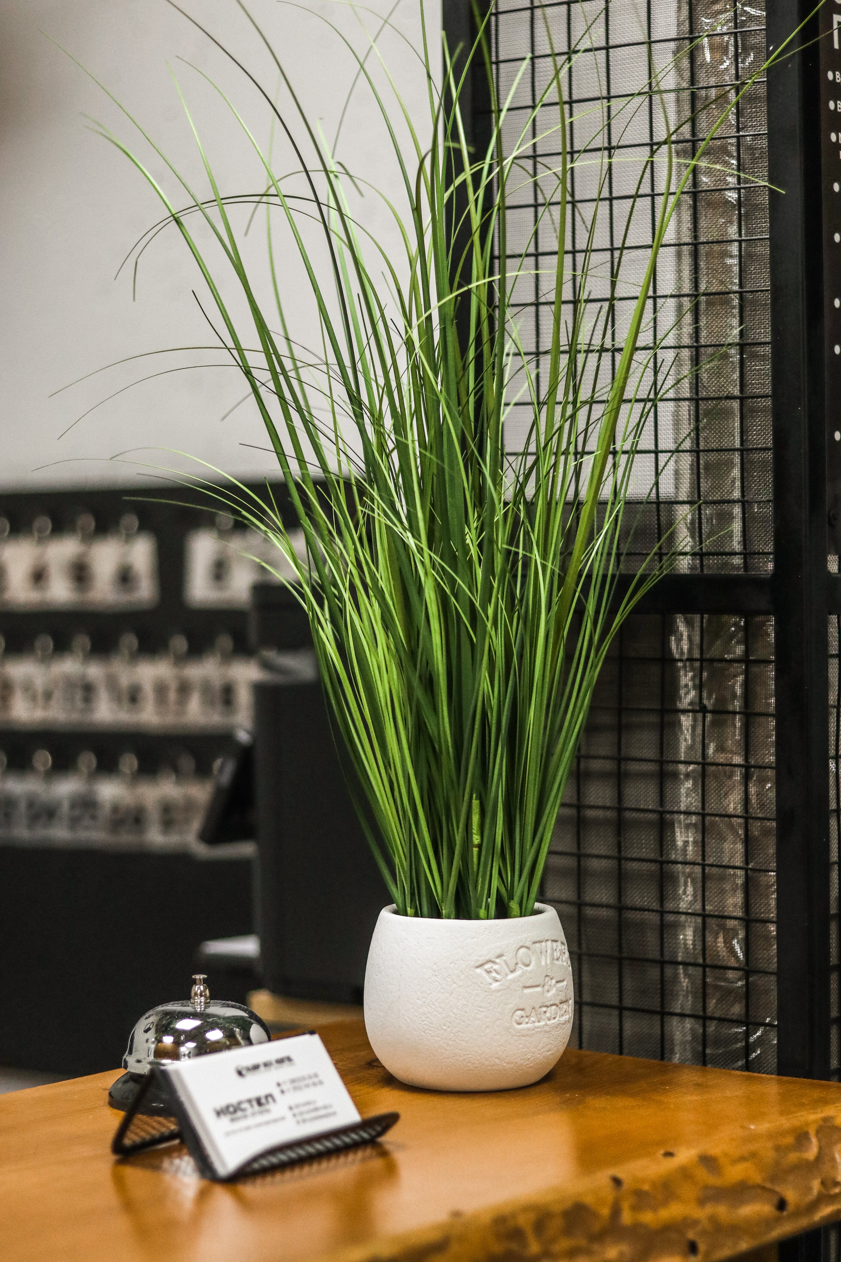 Фото Sleep Box Hostel