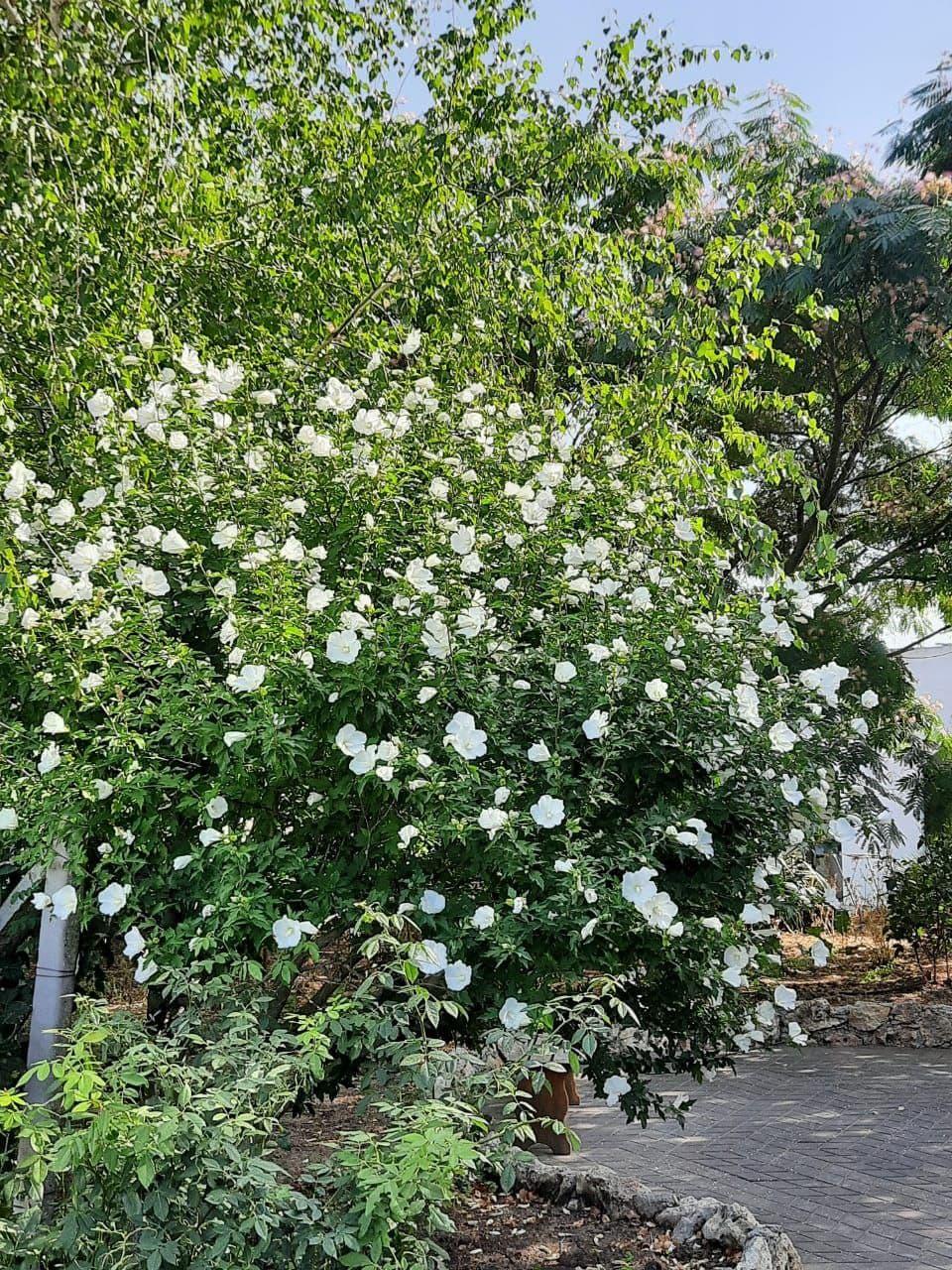 Фото Город-Ок