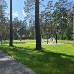 Сосновый бор (Revolyutsionnaya ulitsa, 100), hotel