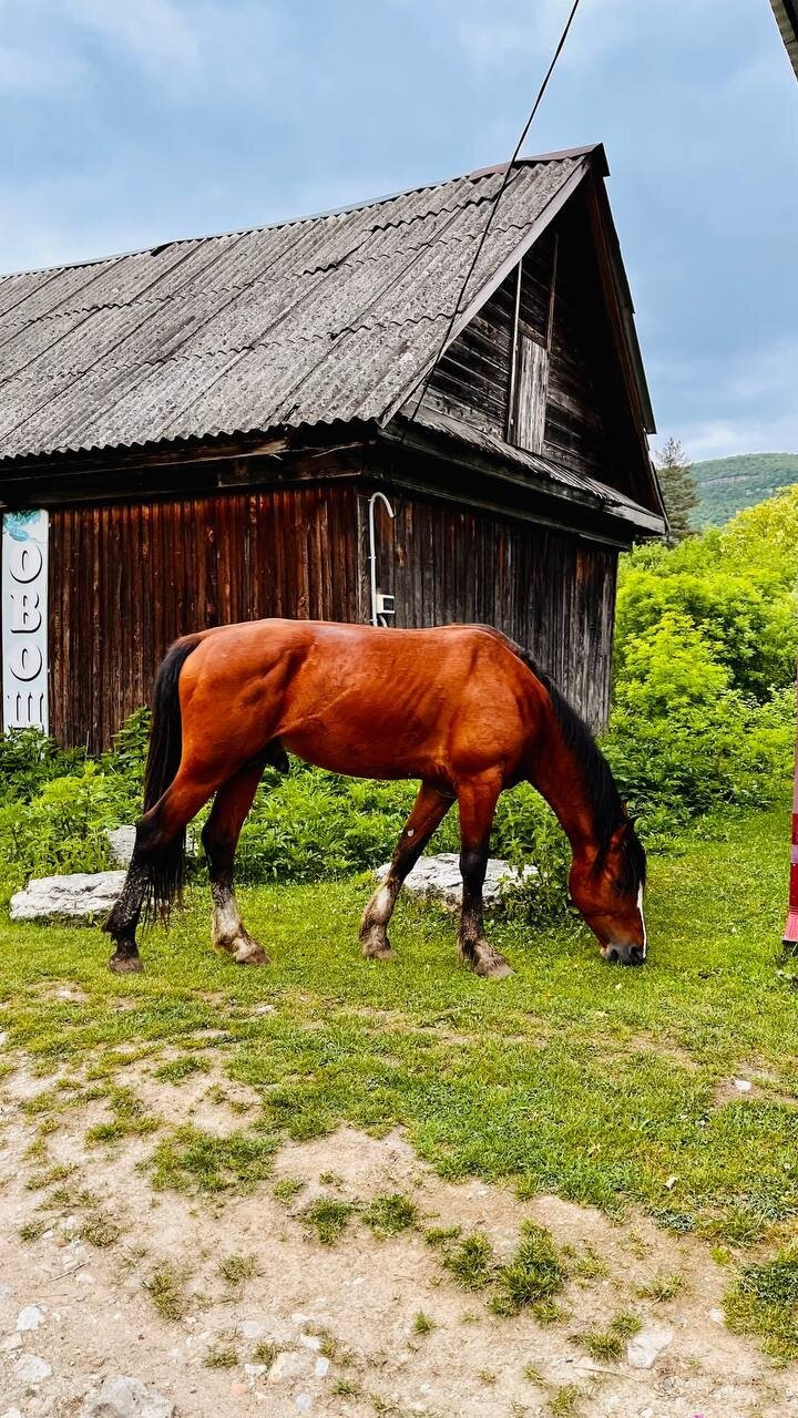Фото ВиллаЛила