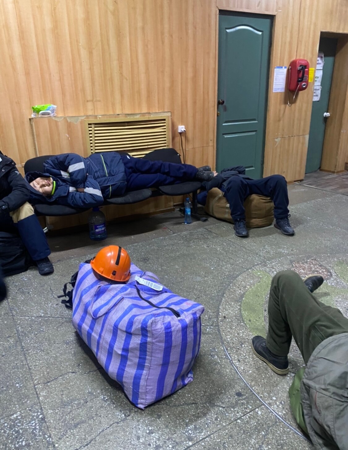 Фото Солнечная