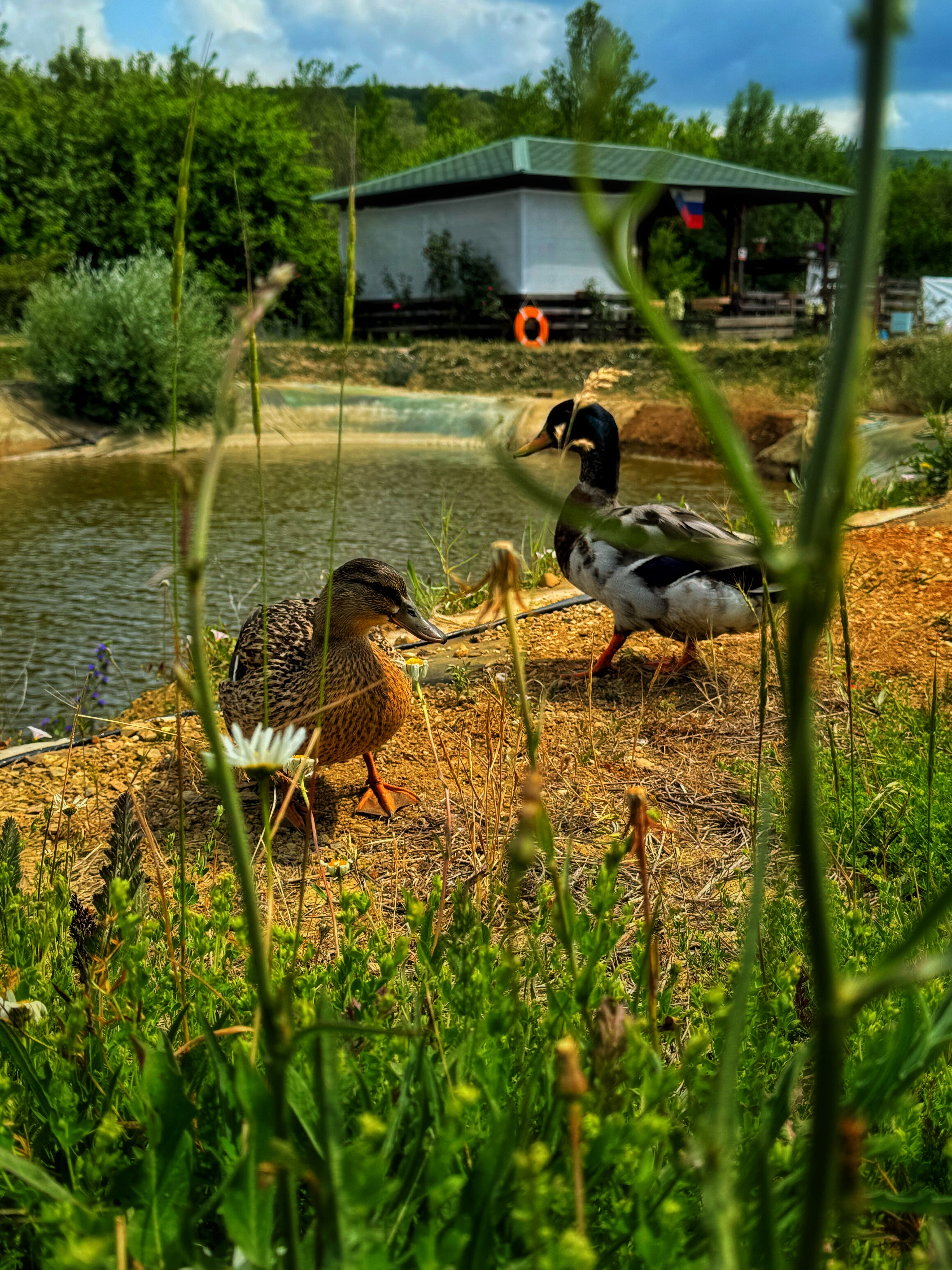 Фото Тихое Место