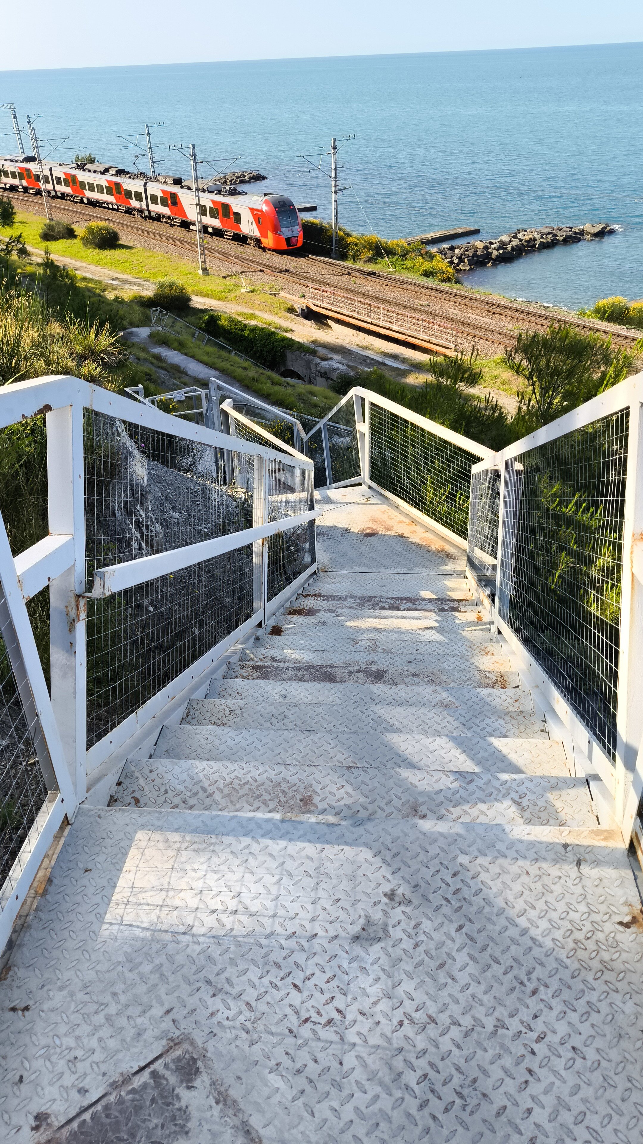 Фото Лунная поляна