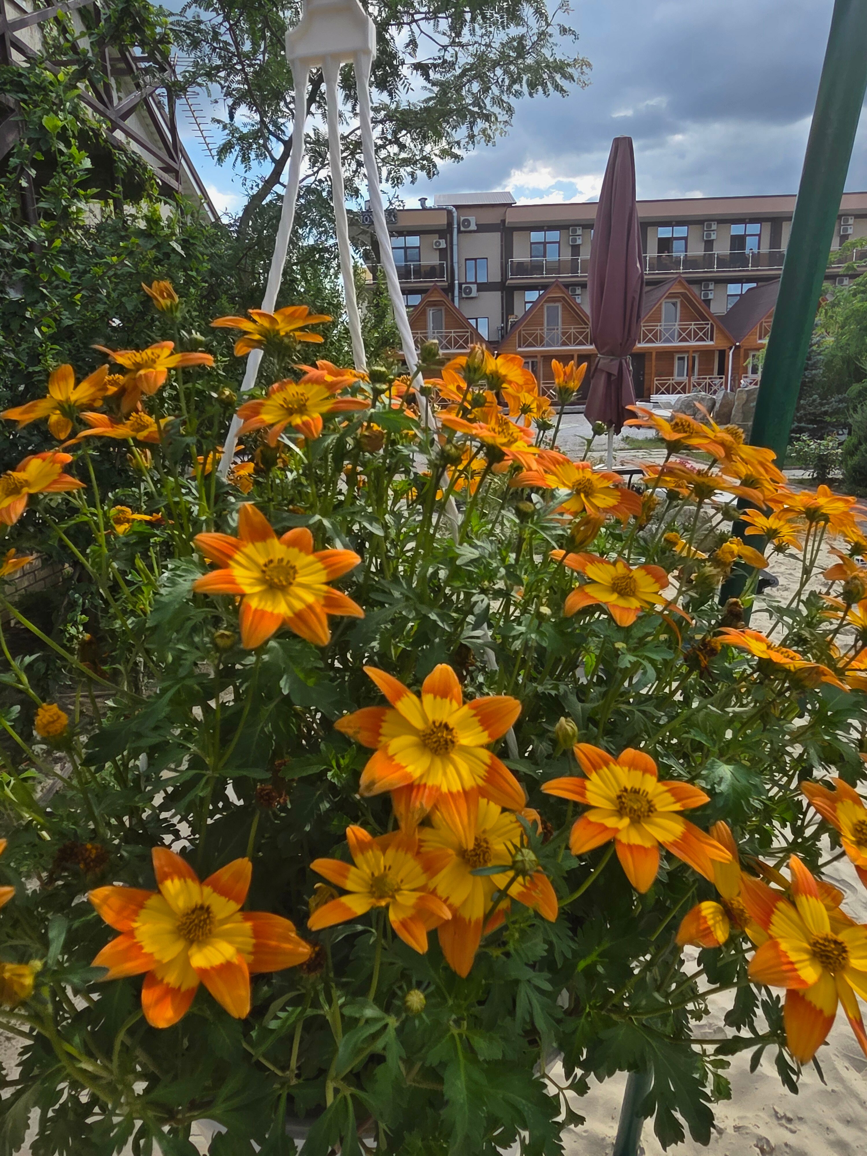 Фото Дом у моря