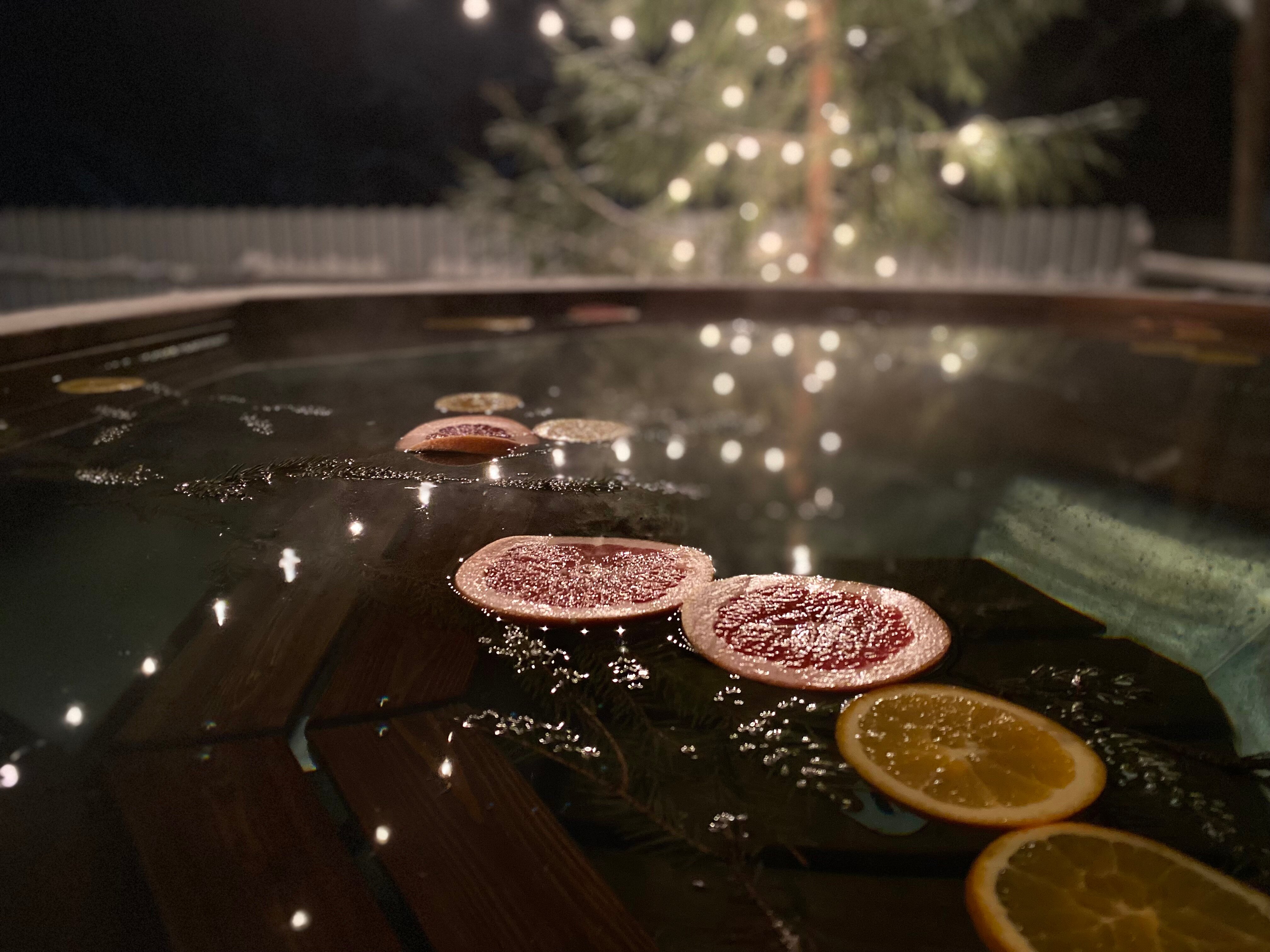 Фото У леса