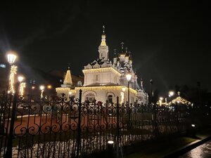 Юлия Ковальчуктың мысығы