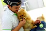 Pet Station Veterinary Clinic (9A, 19 Street, Al Quoz Industrial 3, Al Quoz Industrial, Hadaeq Mohammed Bin Rashid, Dubai), veterinary clinic
