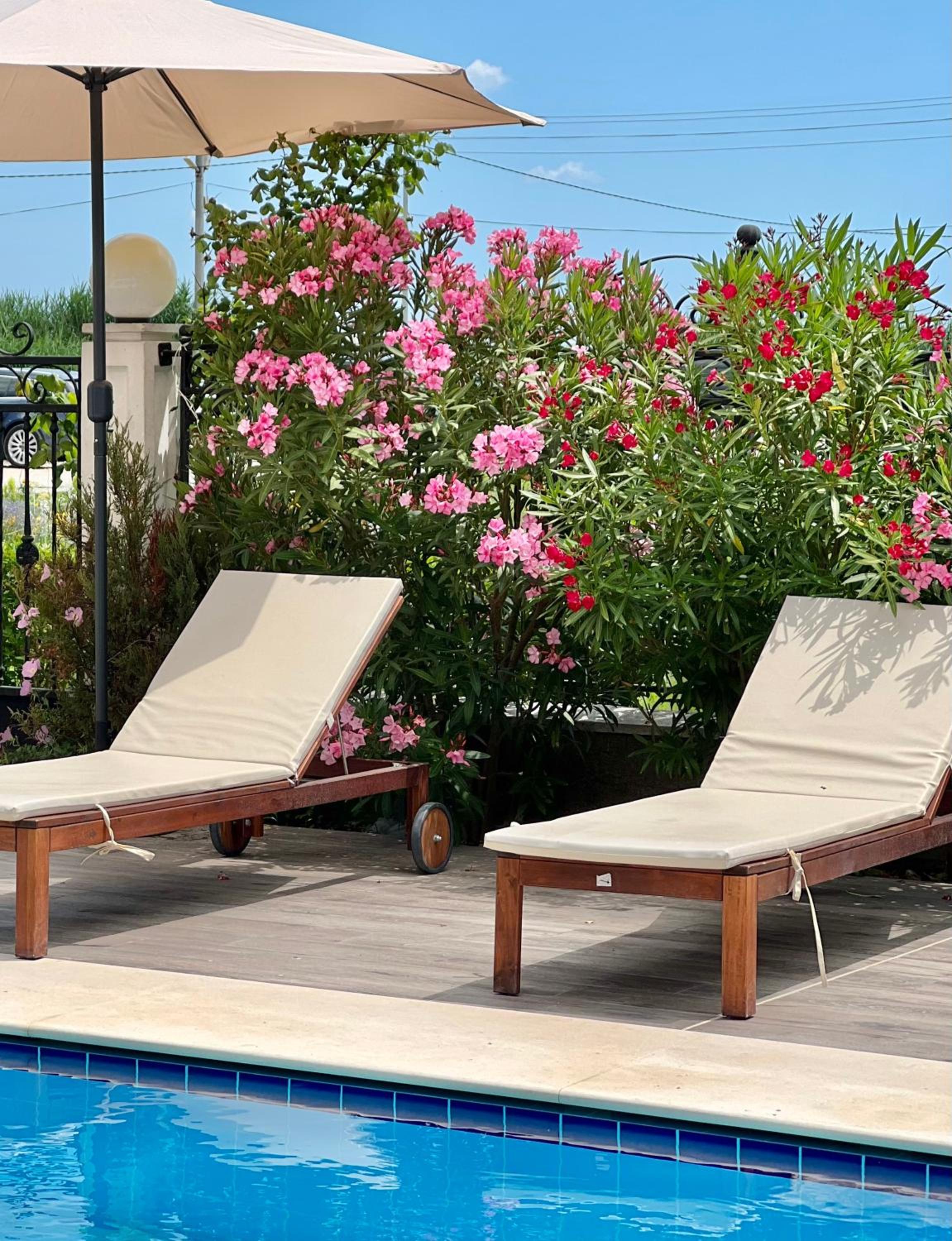 Фото Sunny Castle Hotel