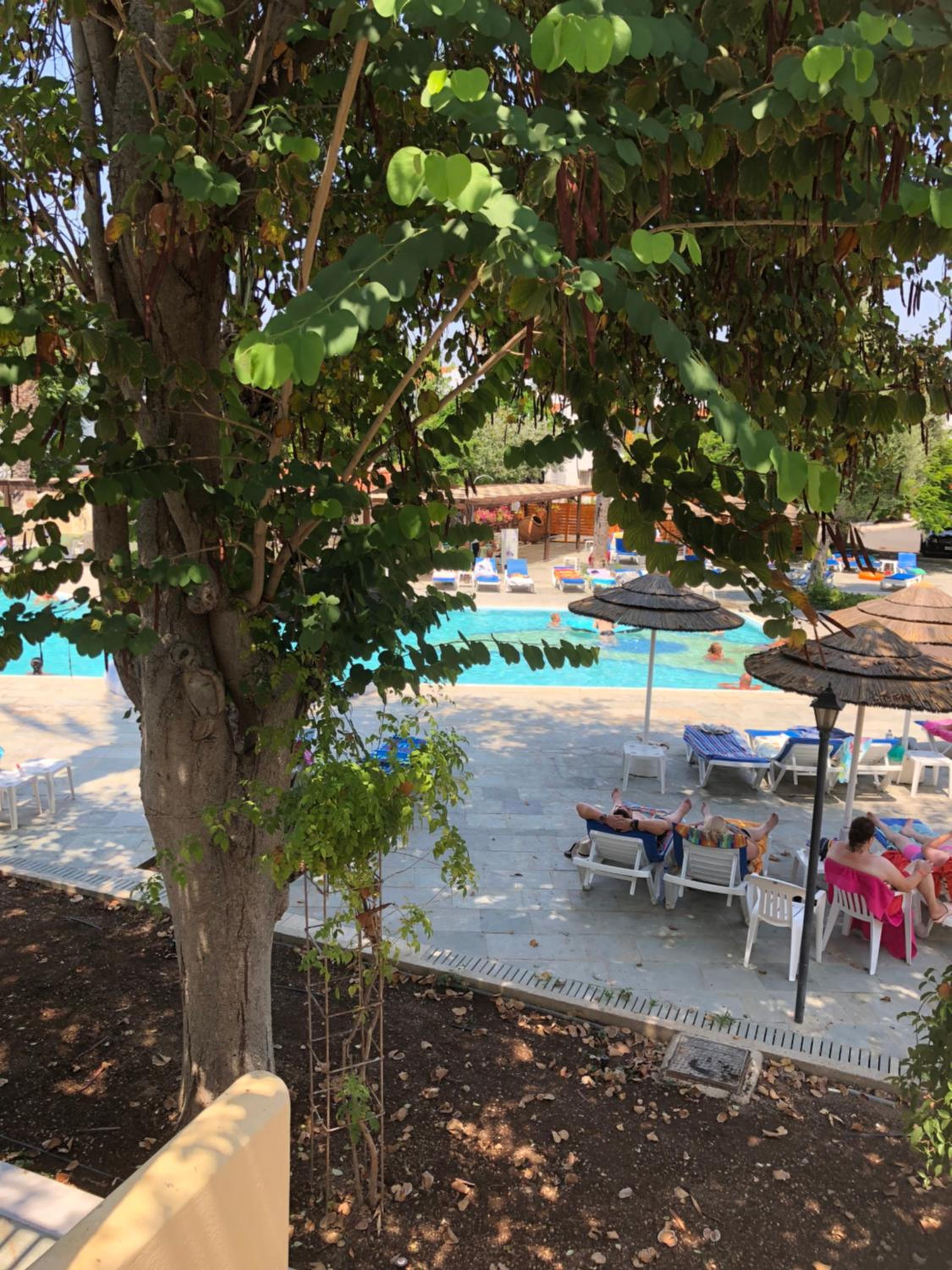 Фото Paphos Gardens Holiday Resort