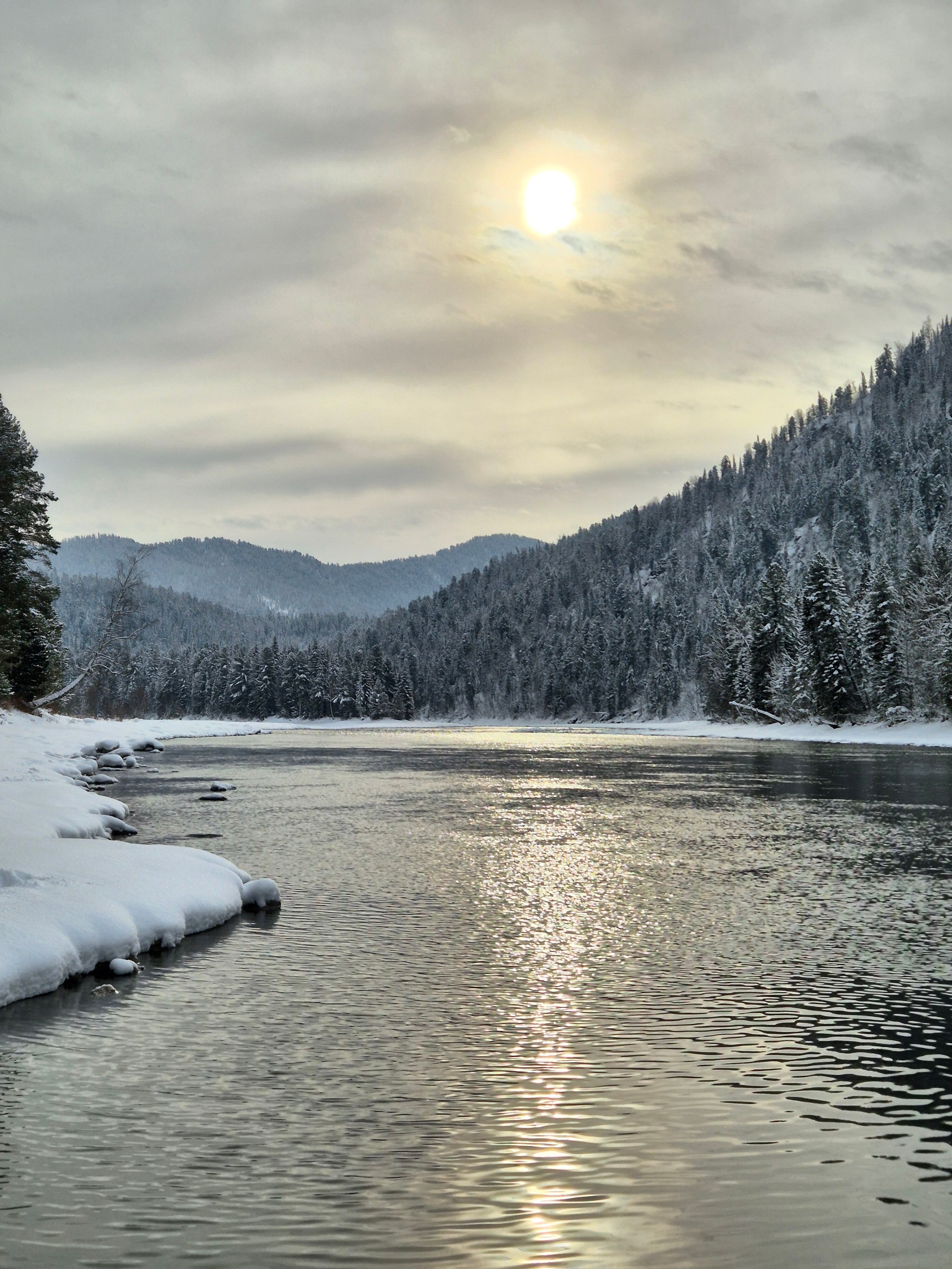 Фото Бия заповедная