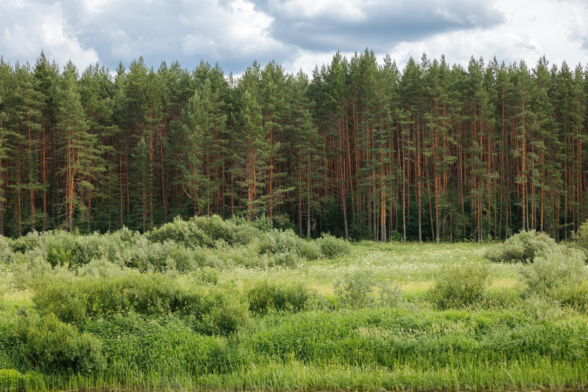 Фото Парк-отель Тутань