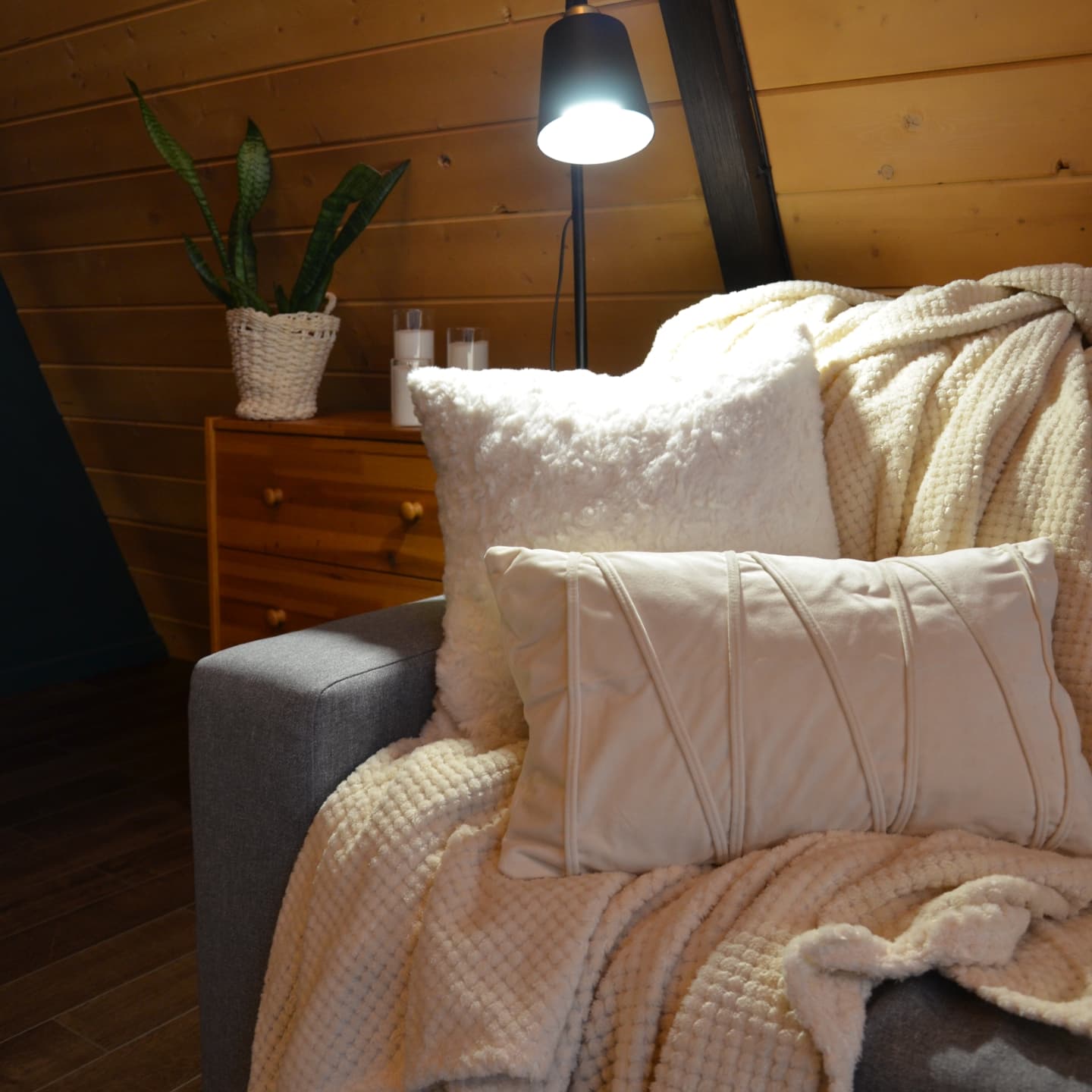 Фото Шишки Парк