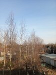 Дачный посёлок (derevnya Myshetskoye, 66А), public transport stop