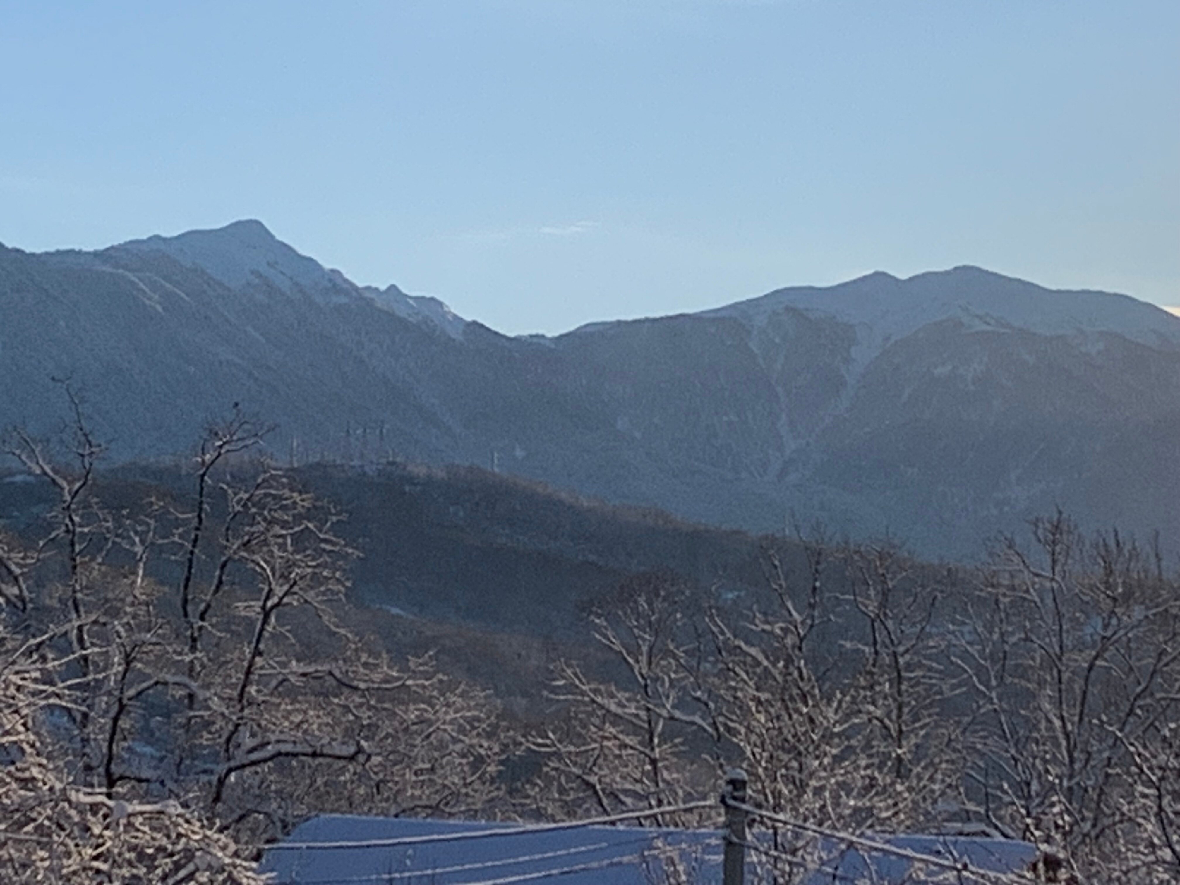 Фото Форелька