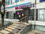 Wildberries (800-letiya Moskvy Street, 18), point of delivery