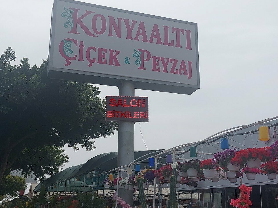 Flower shop Konyaaltı Çiçek Peyzaj, Antalya, photo