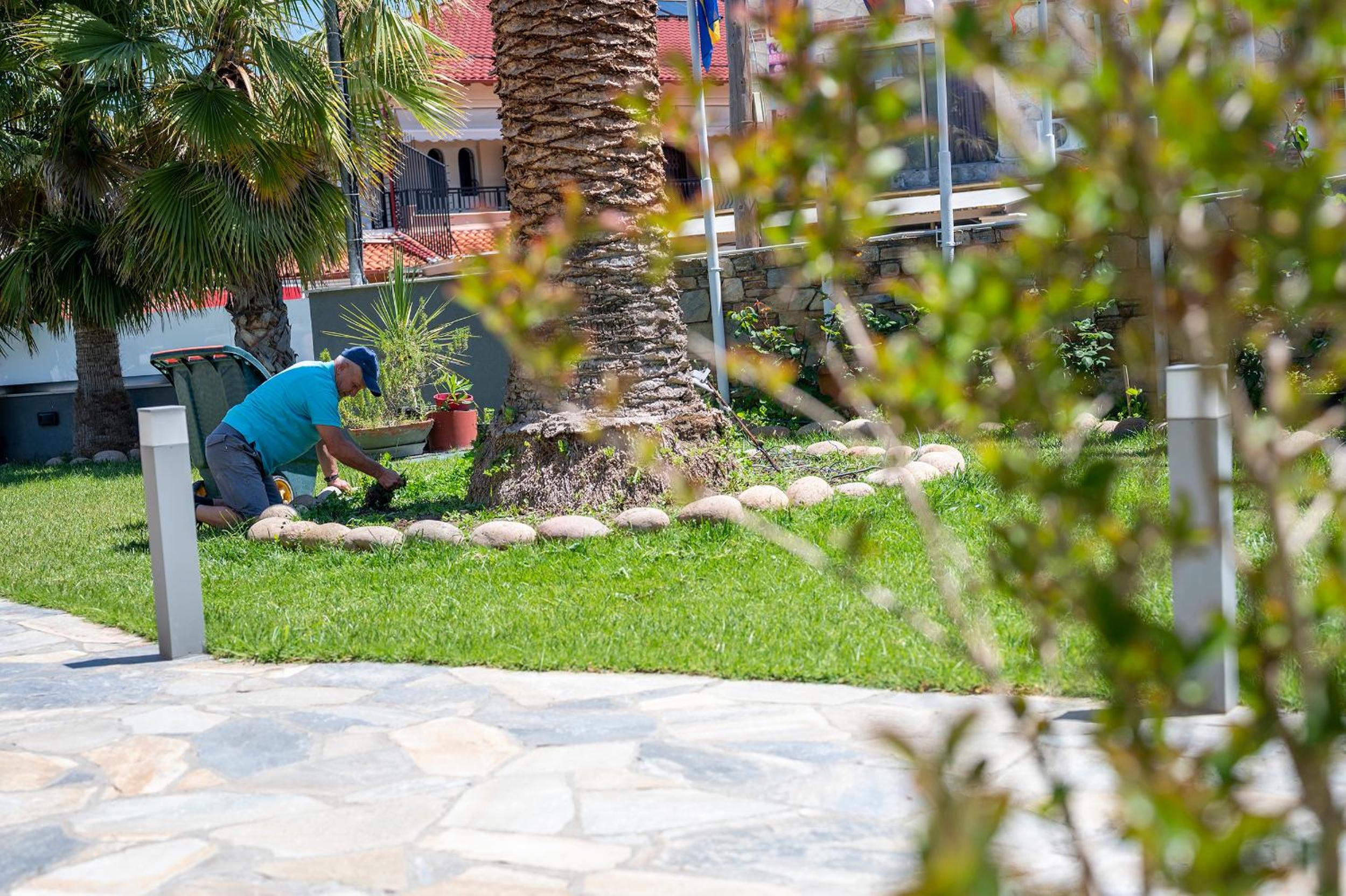 Фото Dionysos Hotel & Suites