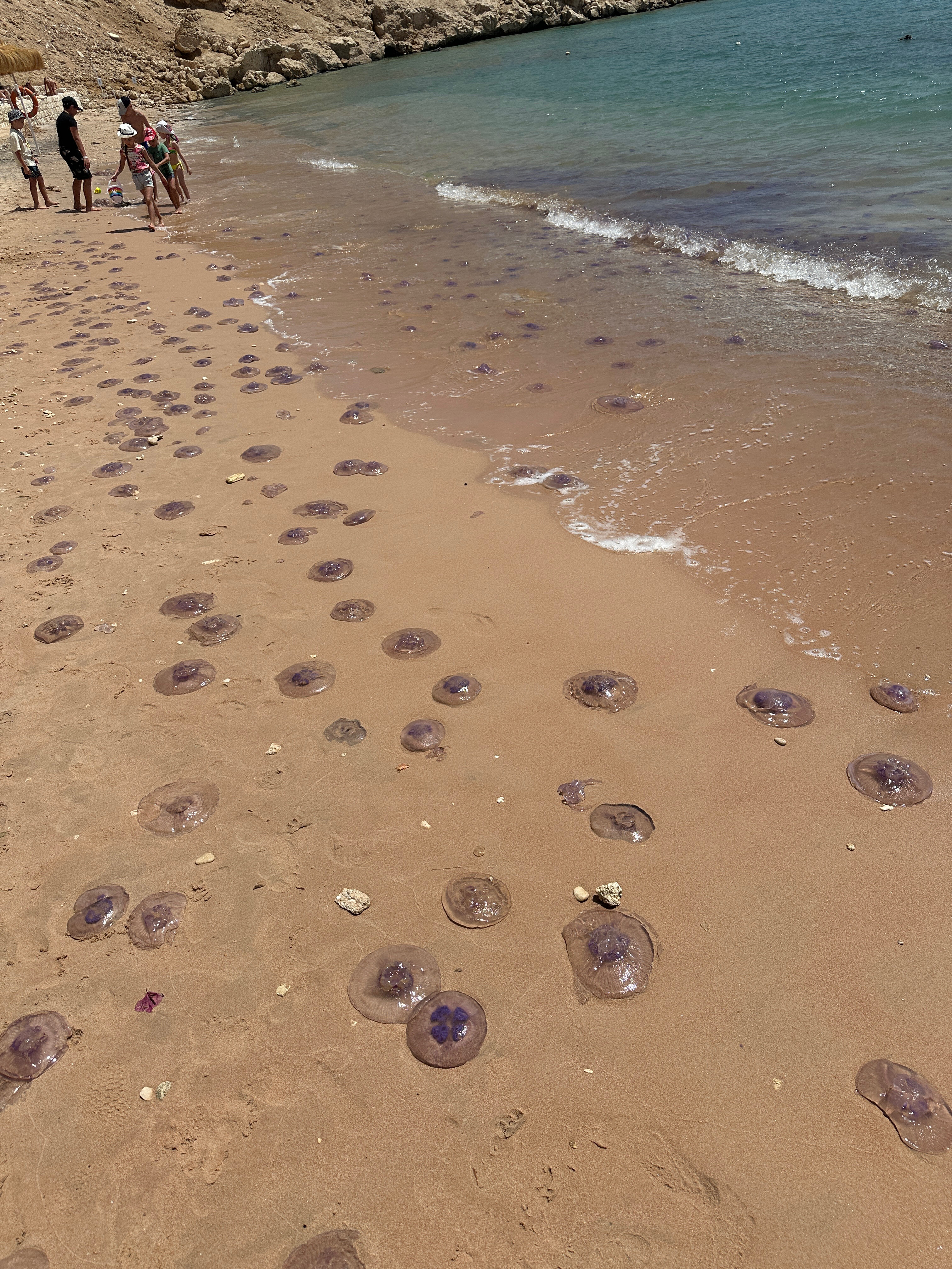 Фото Continental Plaza beach Resort