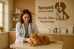 Tars Veteriner Kliniği - Beşiktaş Nöbetçi Acil Veteriner 7/24 (Istanbul, Besiktas, Dikilitas Neighborhood, Eren Street, 8) ، عيادة بيطرية