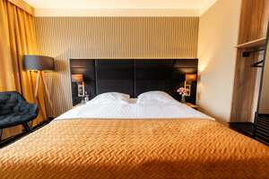 Park Hotel Diament Katowice (Silesian Voivodeship, Katowice, ulica Wita Stwosza, 37), hotel