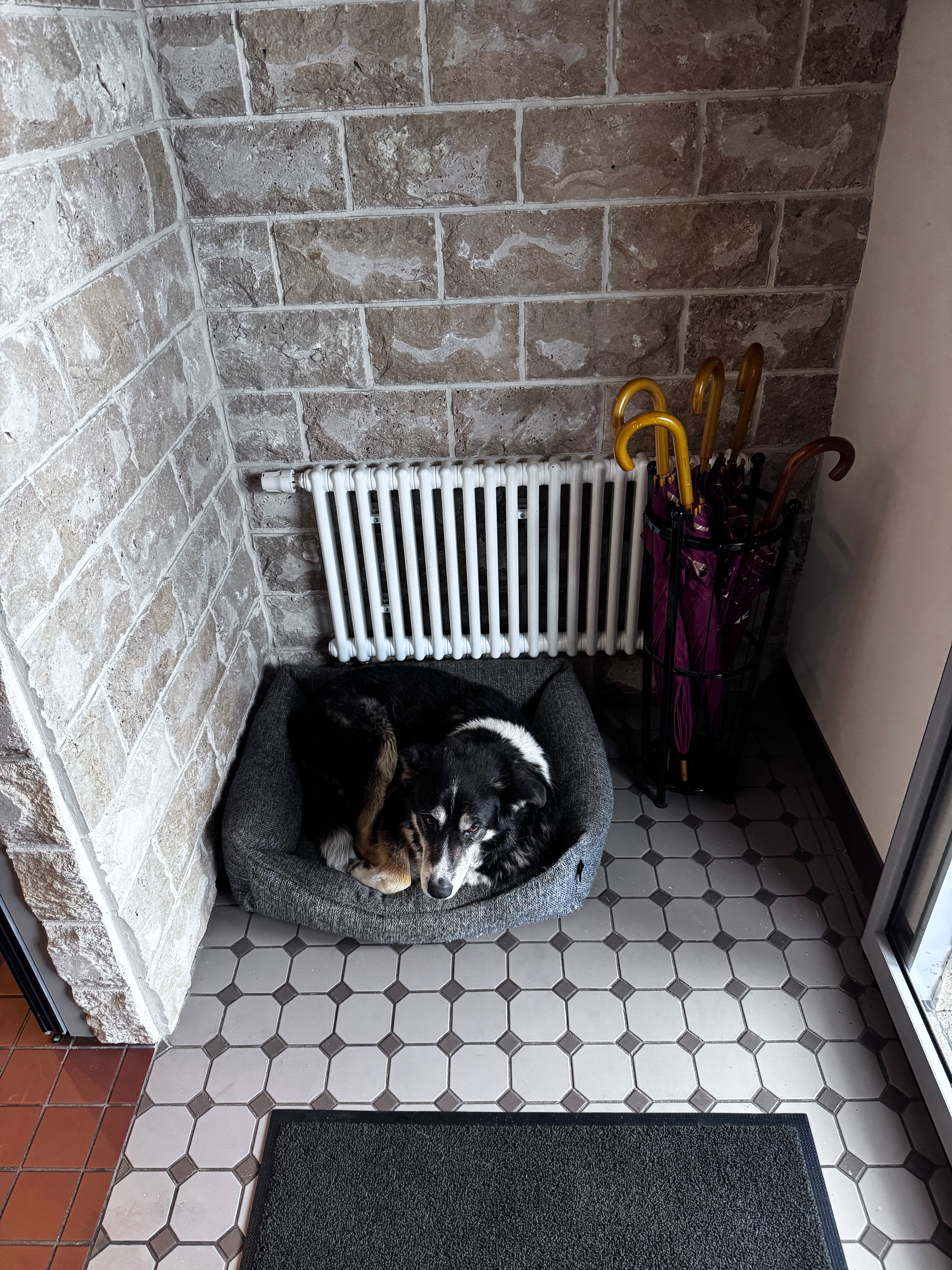 Фото Roka Park Collection