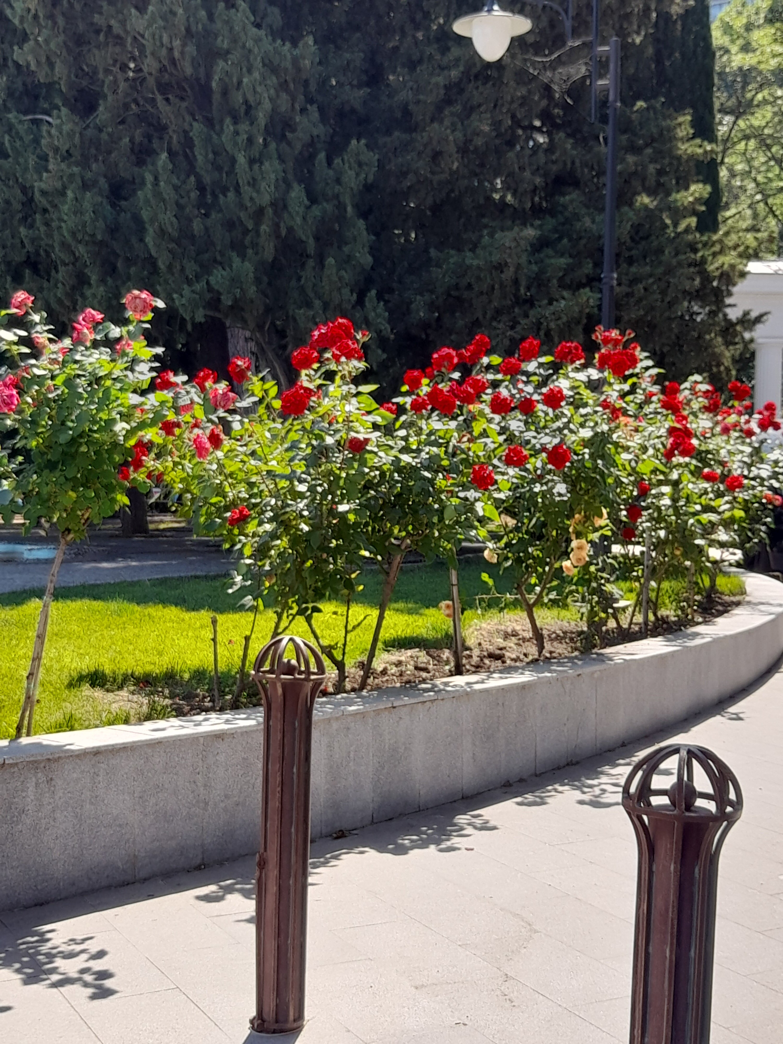 Фото Зазеркалье