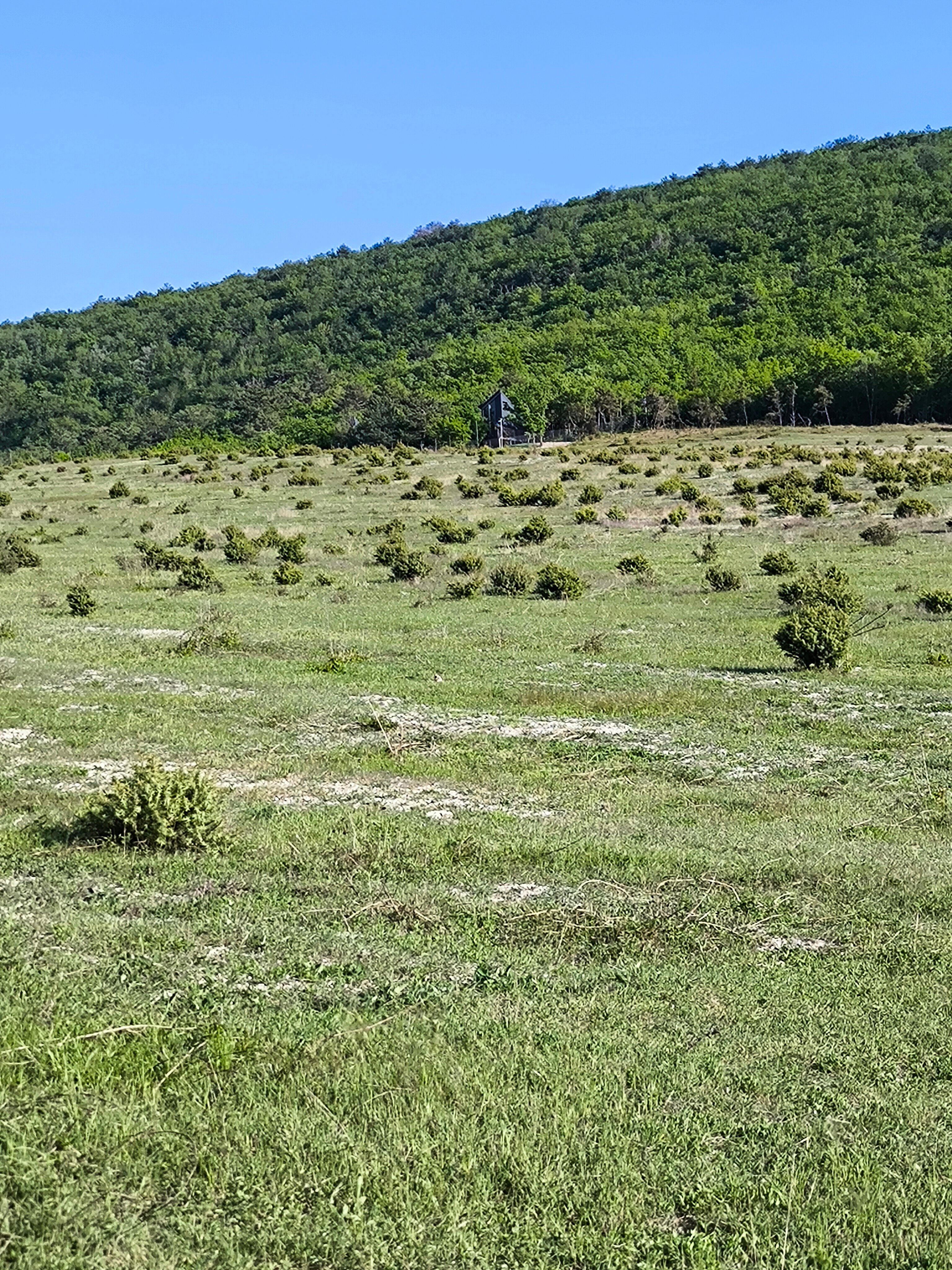 Фото Домики в лесу Шули