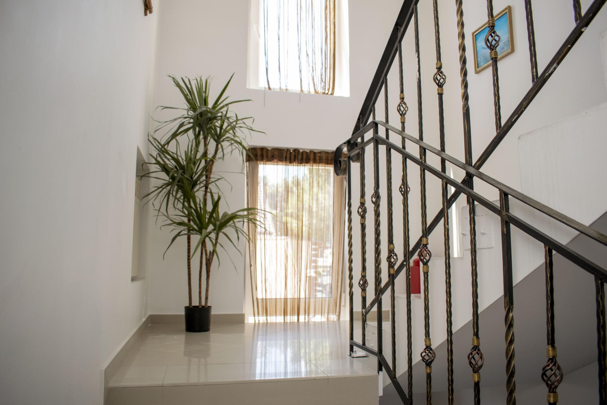 Фото Тристар