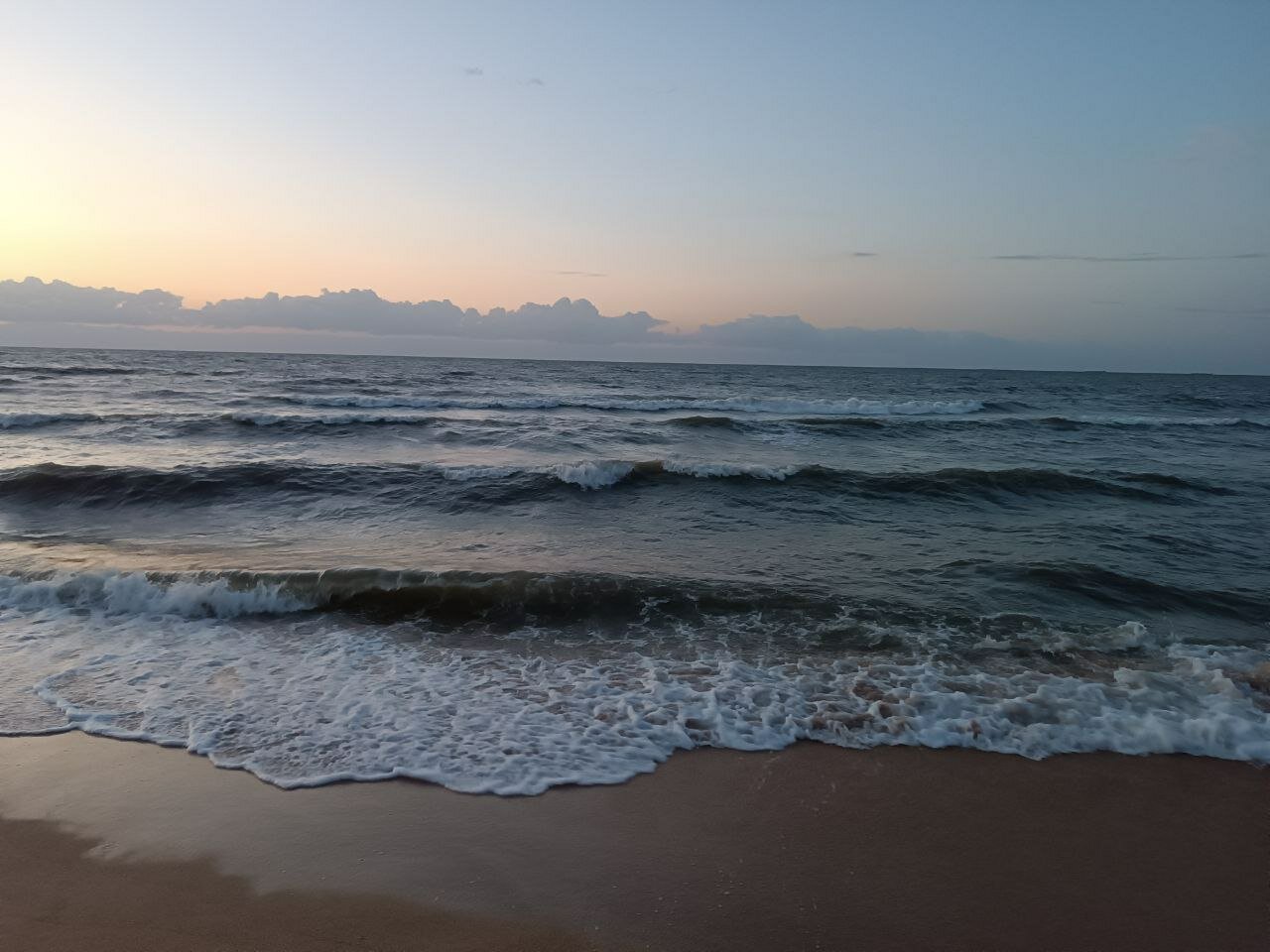 Фото Форест