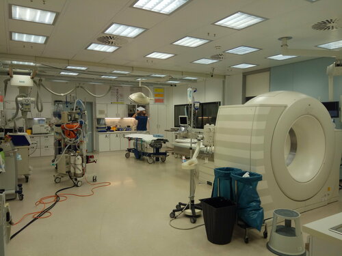 Stavropolda jinsiy aloqa qilish uchun turmush qurgan rus juftligini qidirmoqda