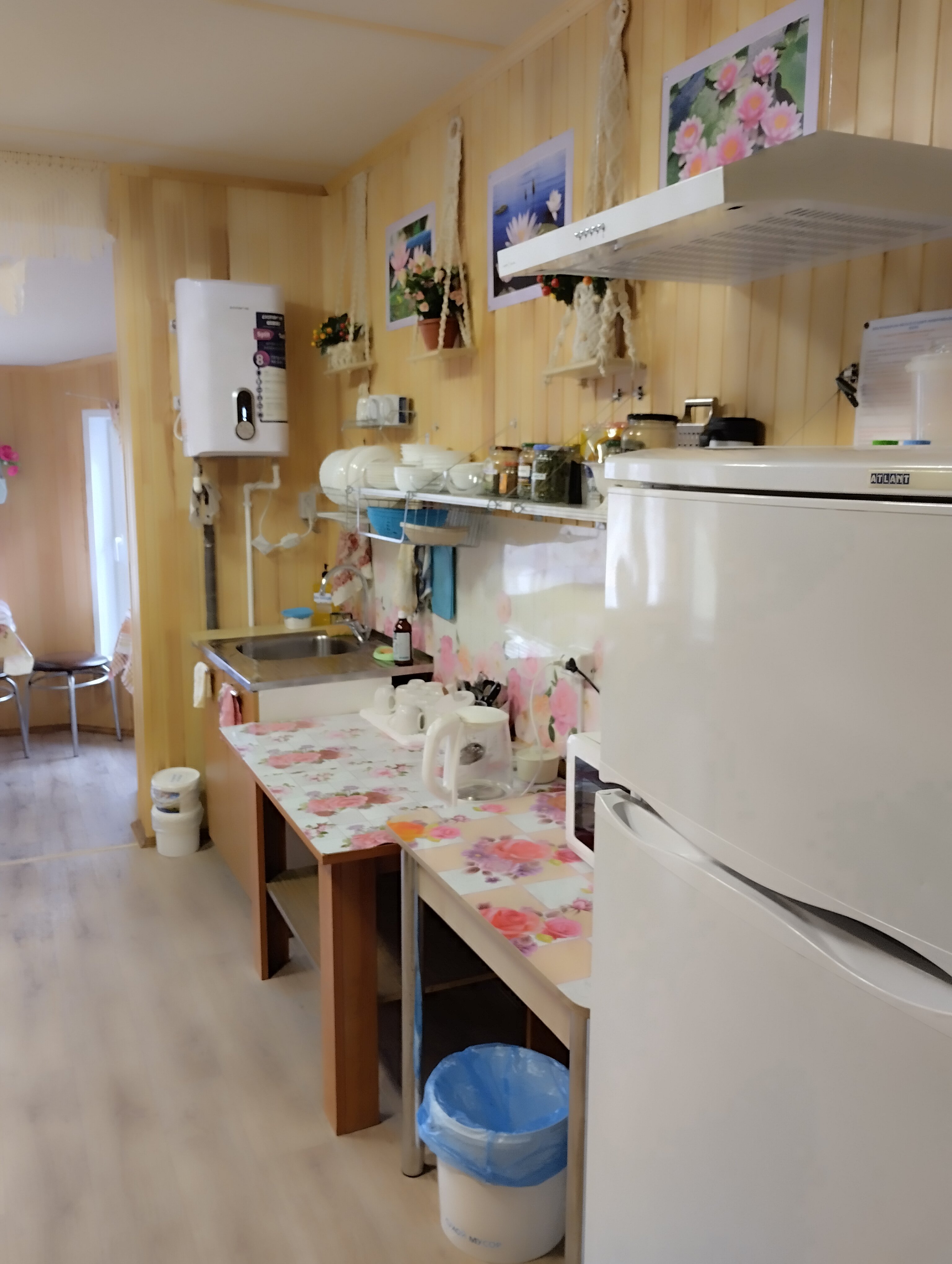 Фото Белый лотос