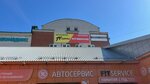 Tt Auto (Pavlovsky Highway, 81/1), neumáticos y llantas