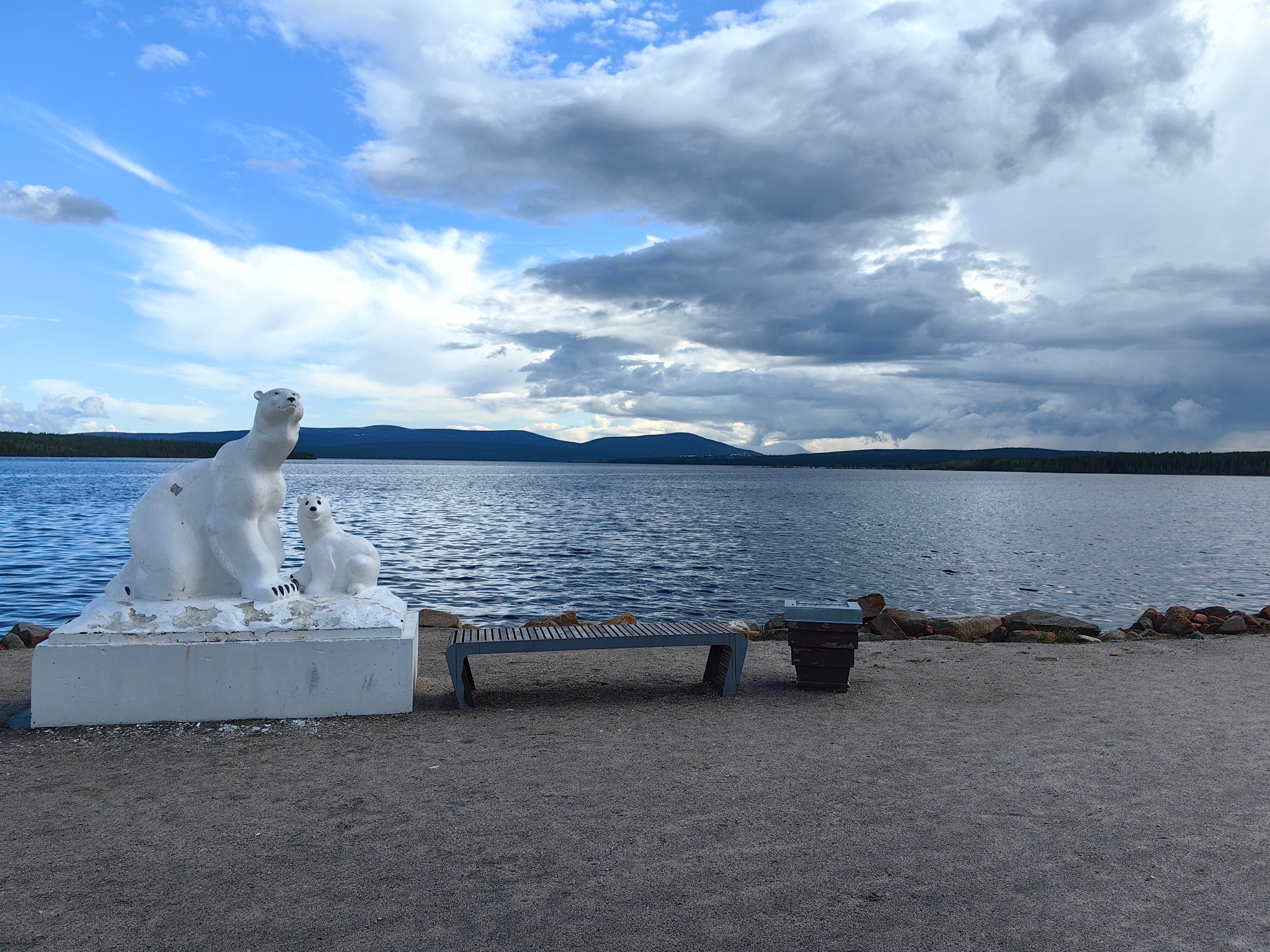 Фото Брусника