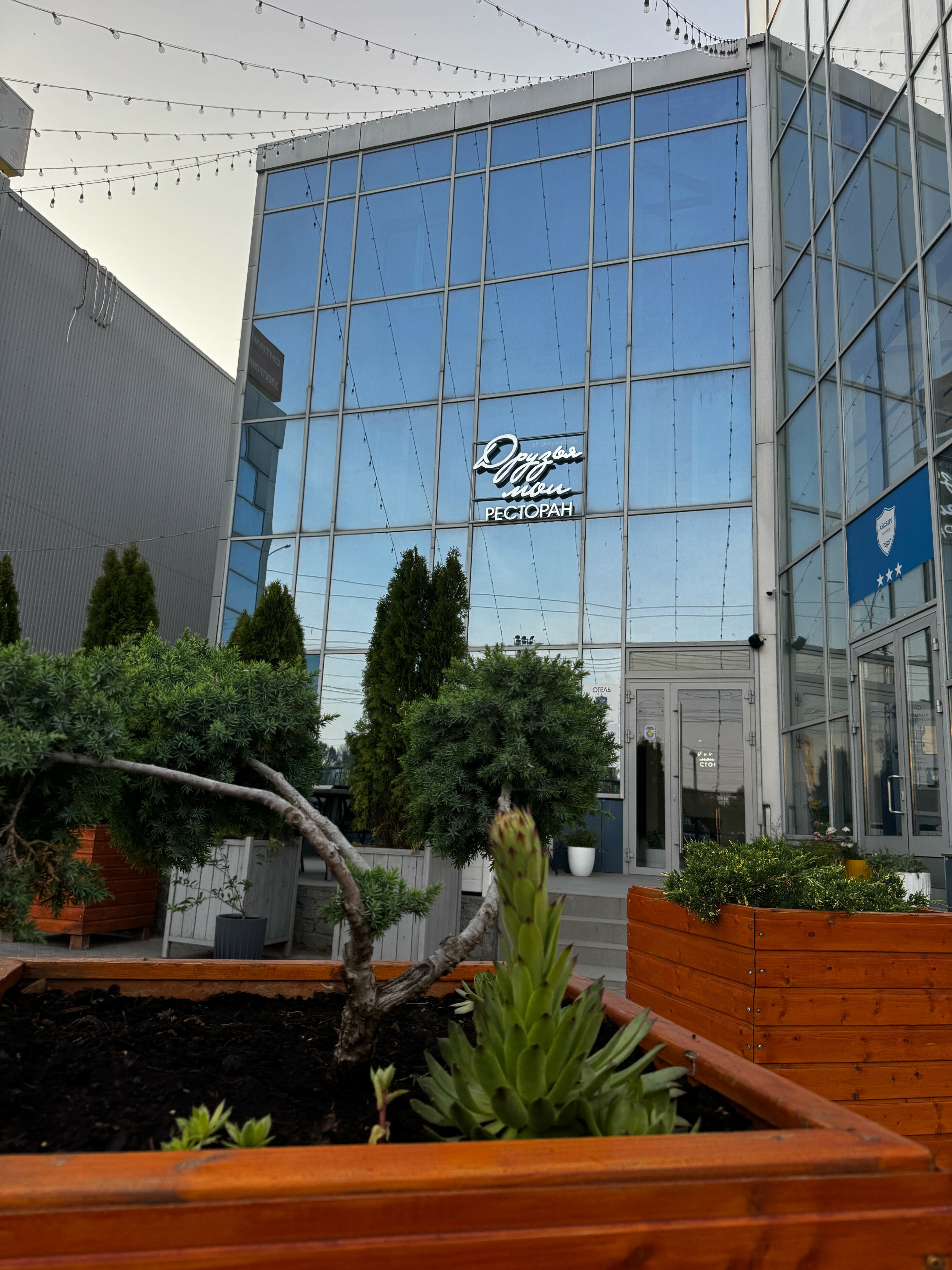 Фото ZBest Айсберг