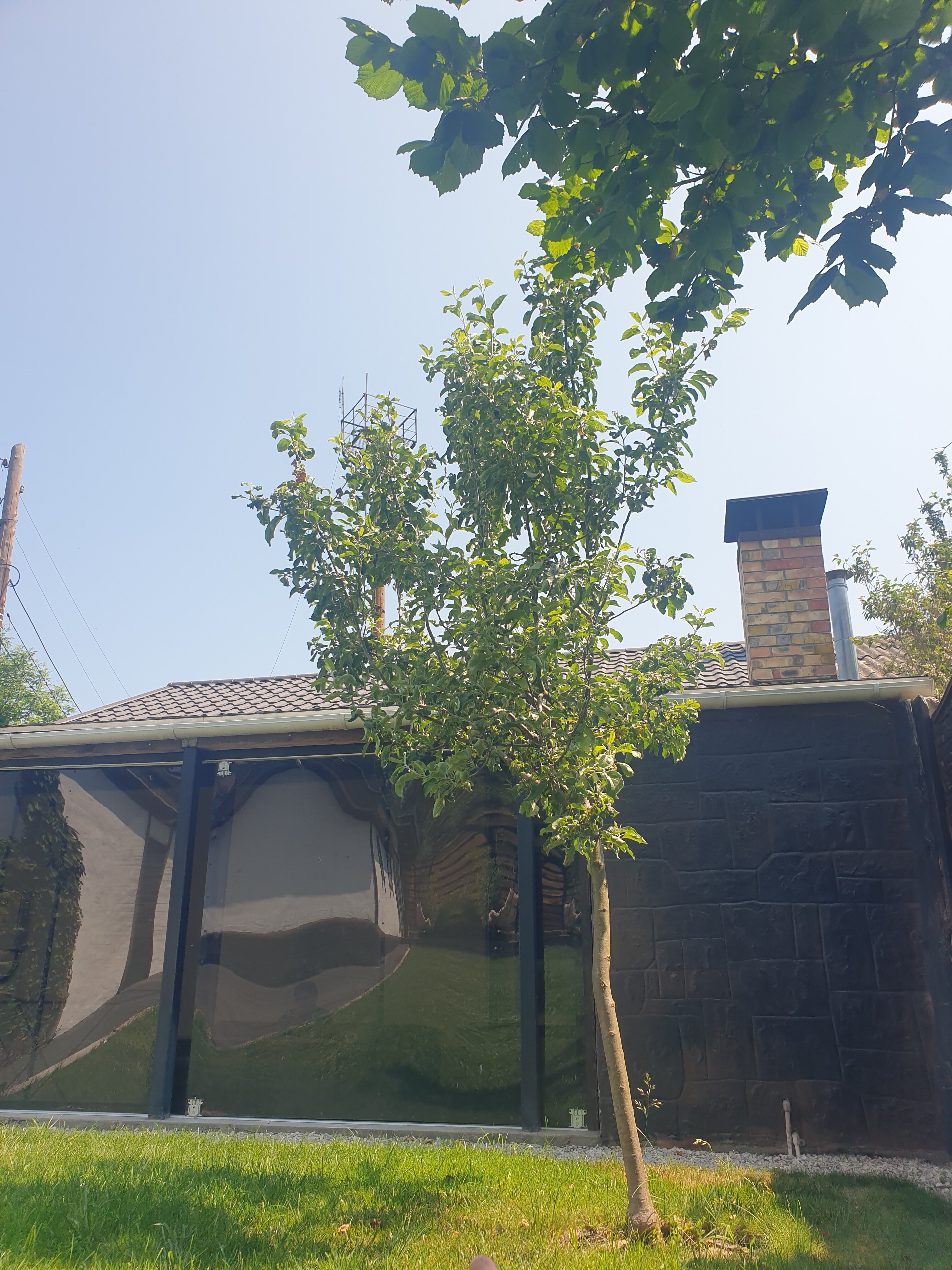 Фото Коккоз