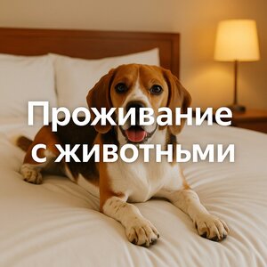 Сочи Галерея Парк