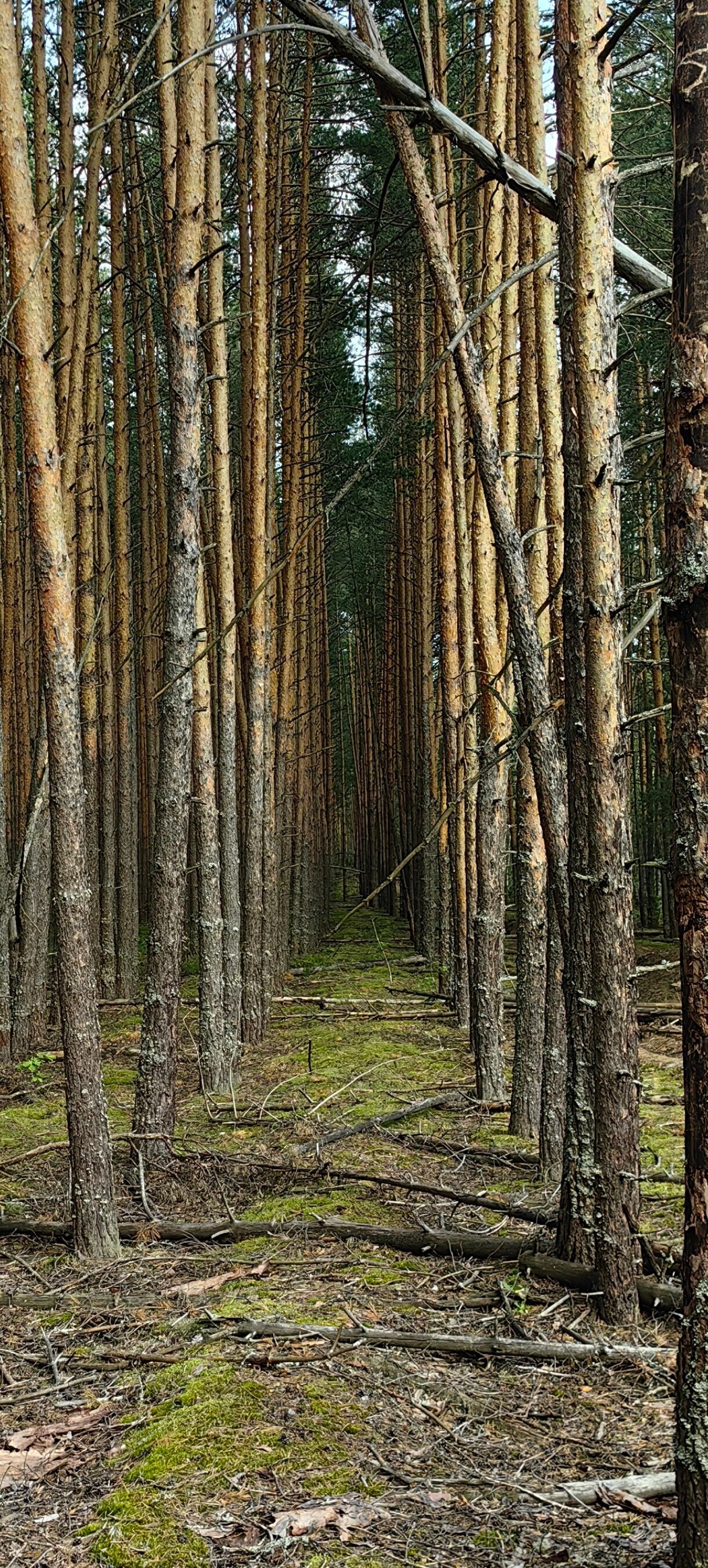 Фото Над Рекой