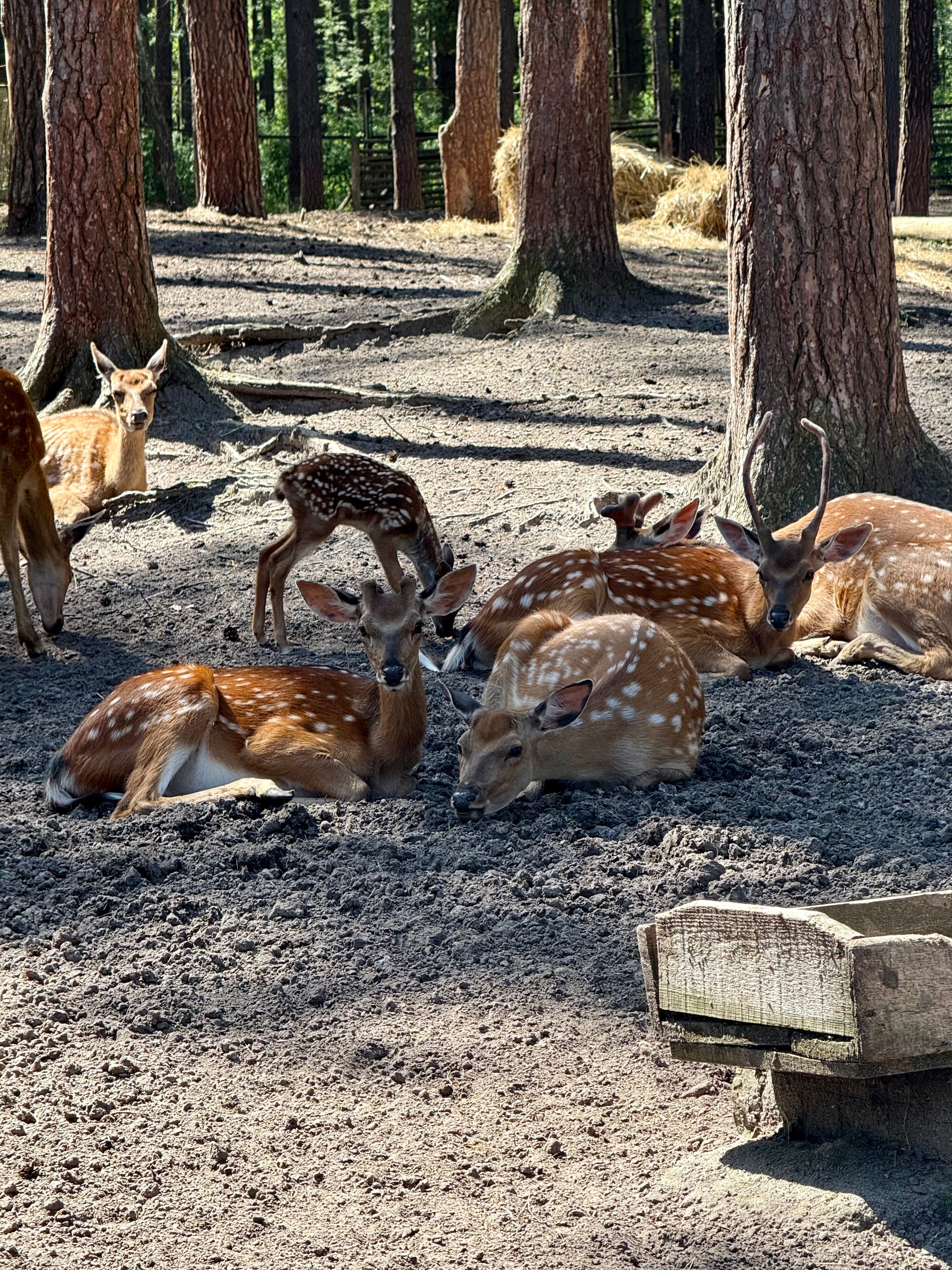 Фото Бутик-Отель Полесье