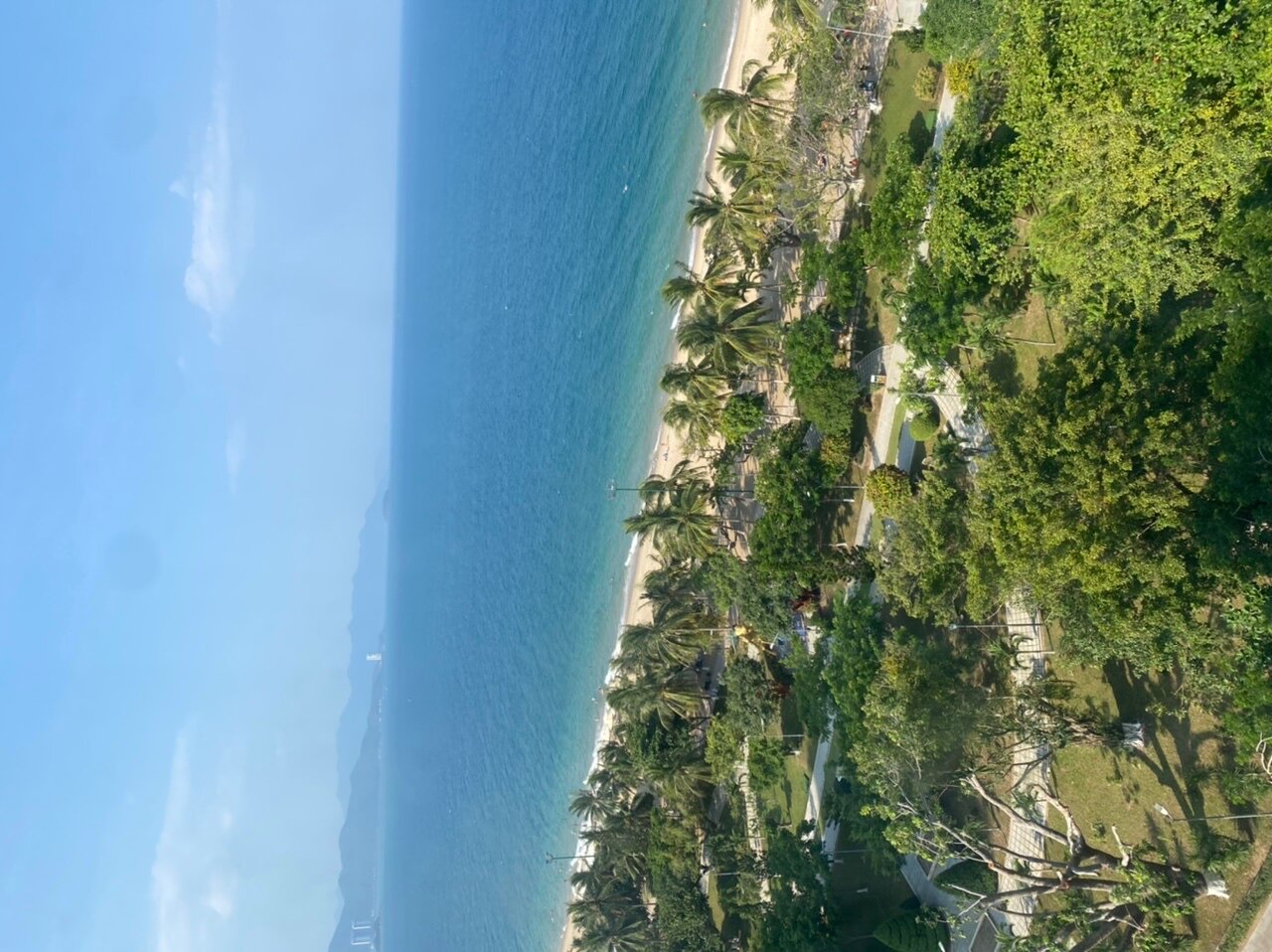 Фото Dendro Hotel