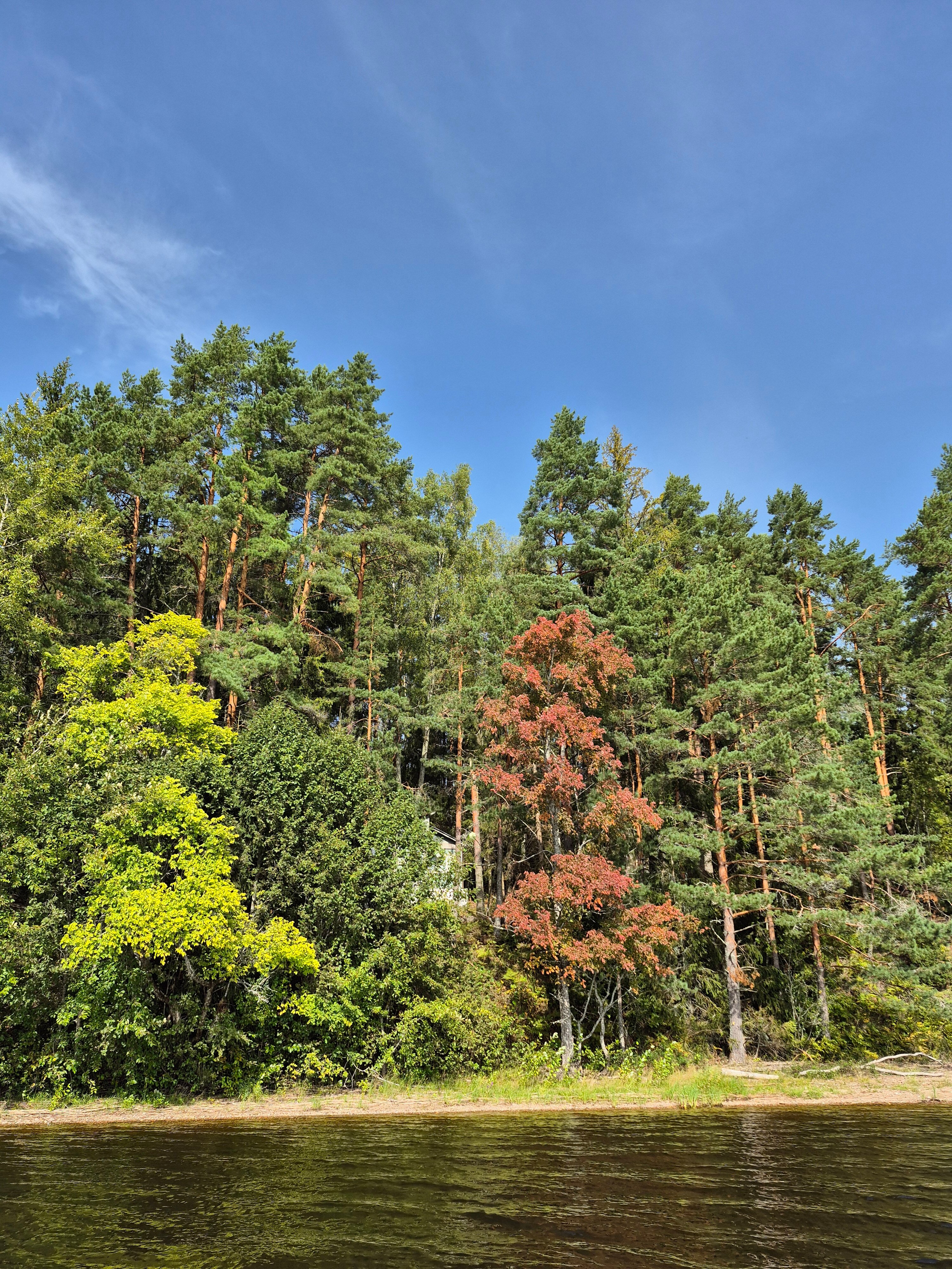 Фото Яр-Селигер