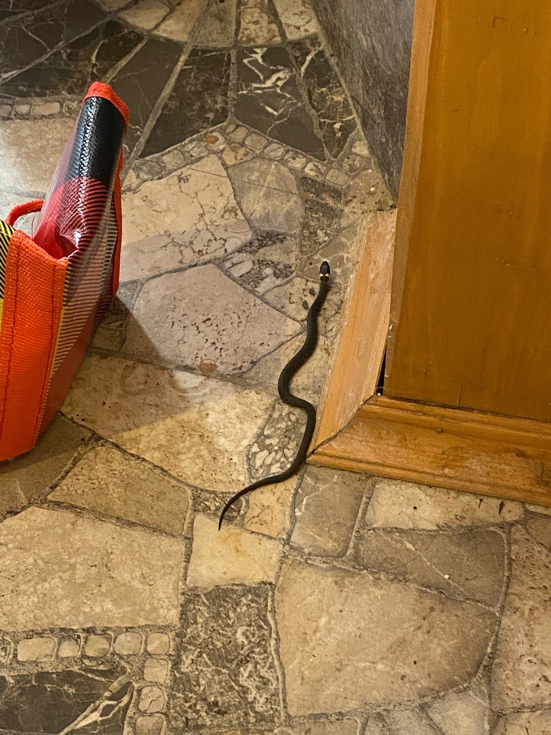 Фото Добрый дом