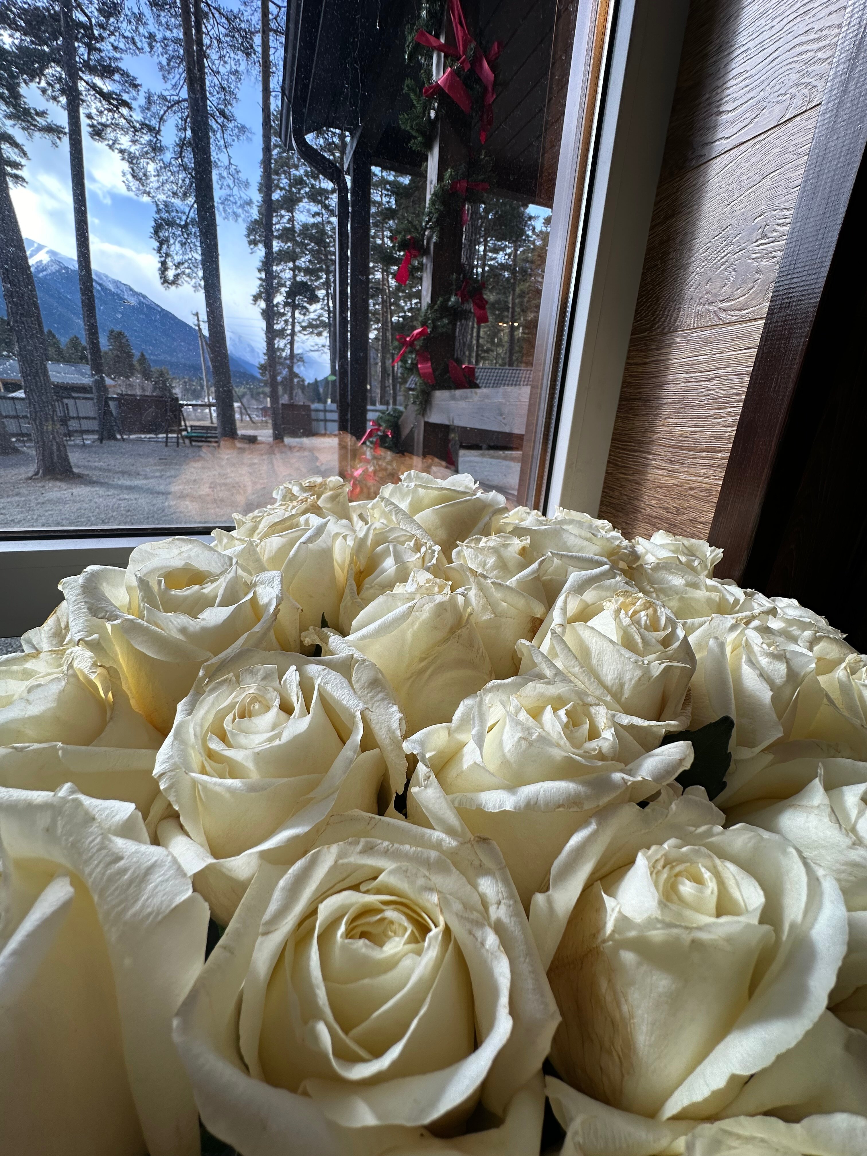 Фото Сосновый бор