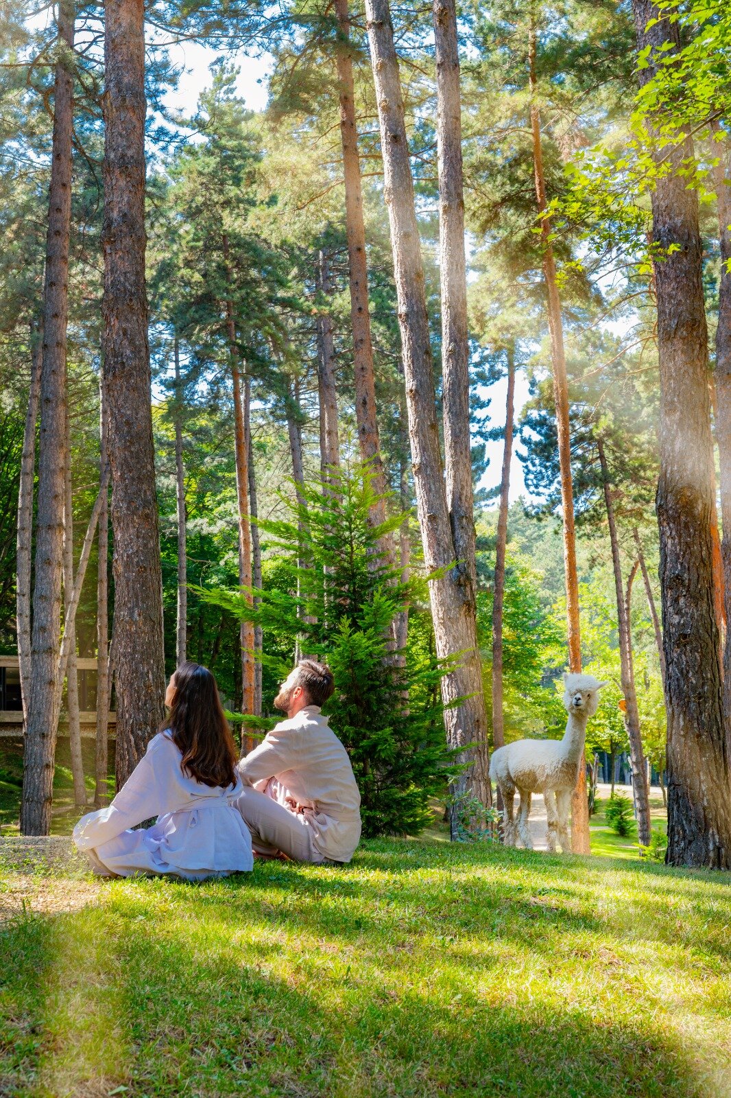 Фото Bioli Wellness Resort