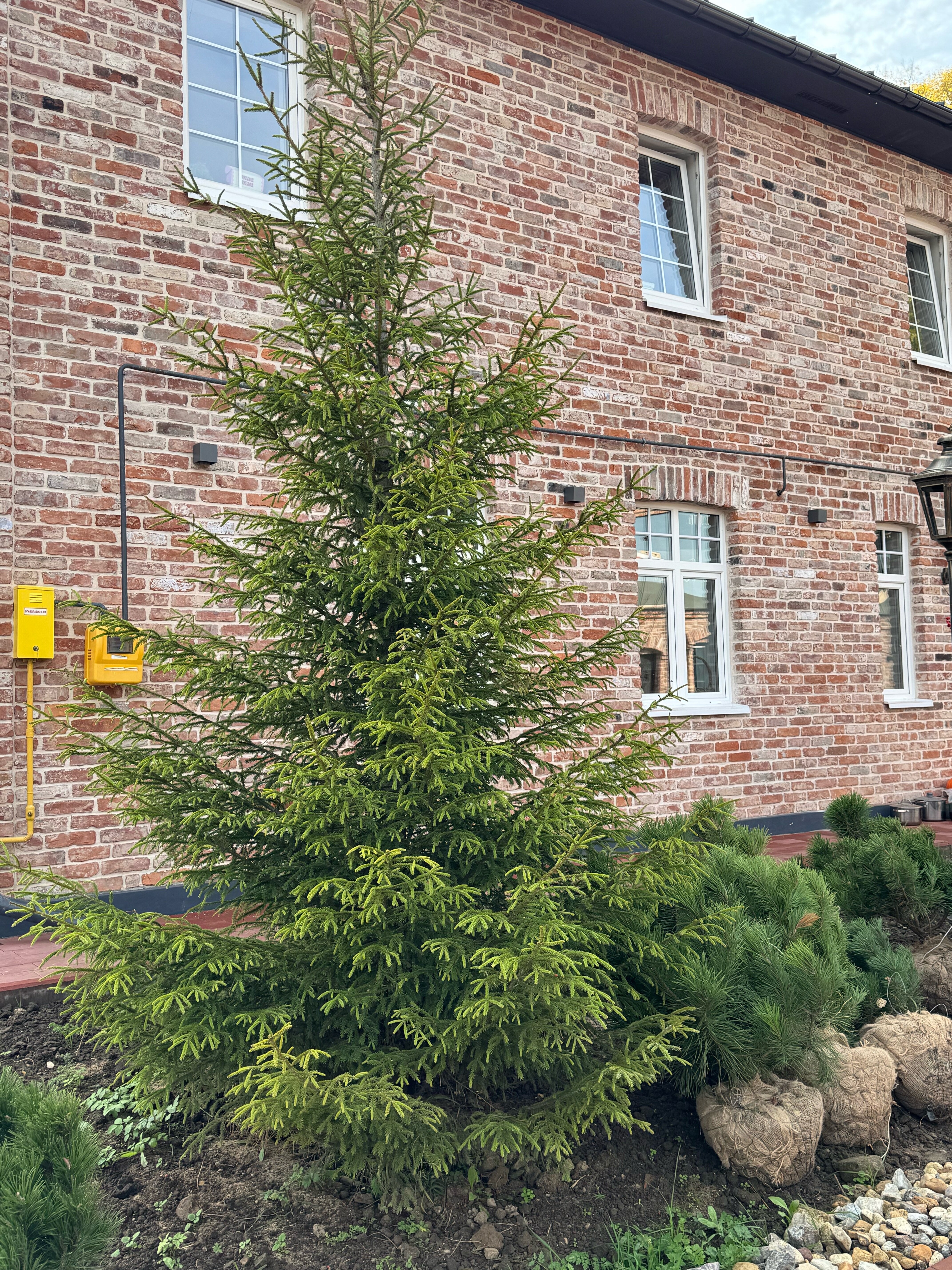 Фото Резиденция Товарищества Братьев Нобель