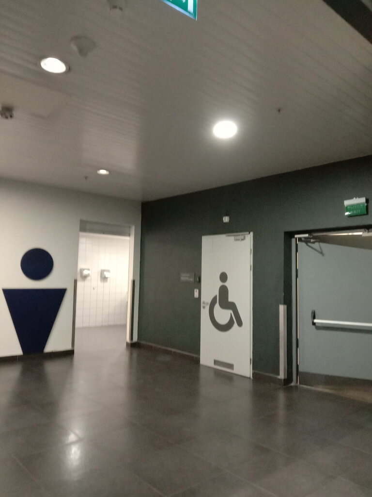 Toilet Туалет для инвалидов, Moscow, photo