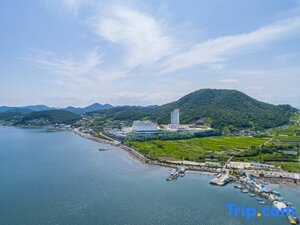 Апартаменты The Ocean Resort