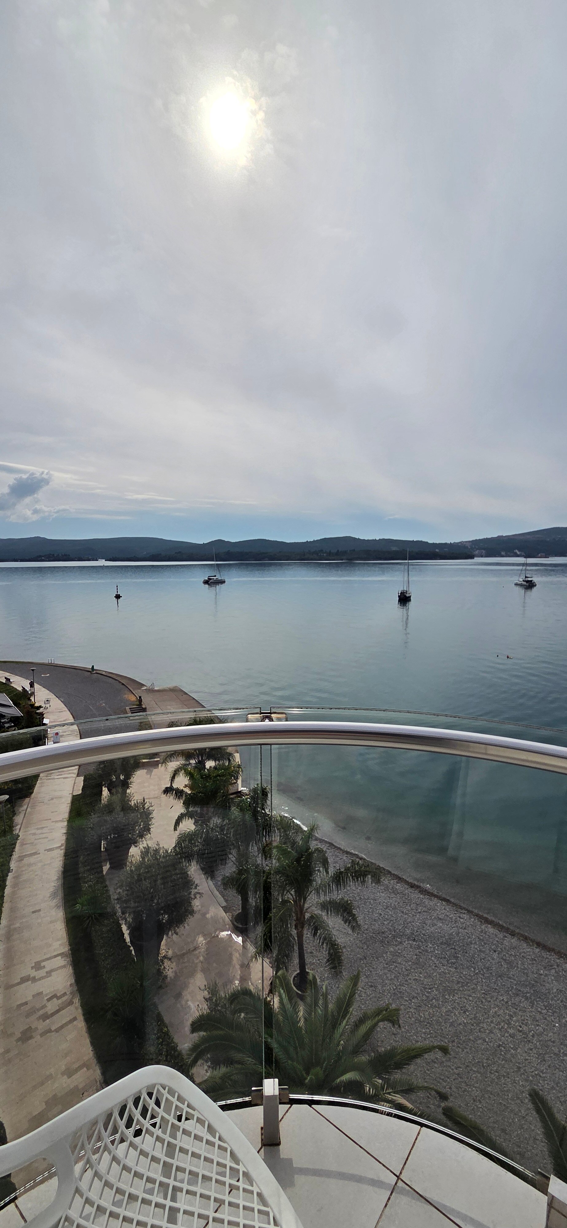 Фото Пальма