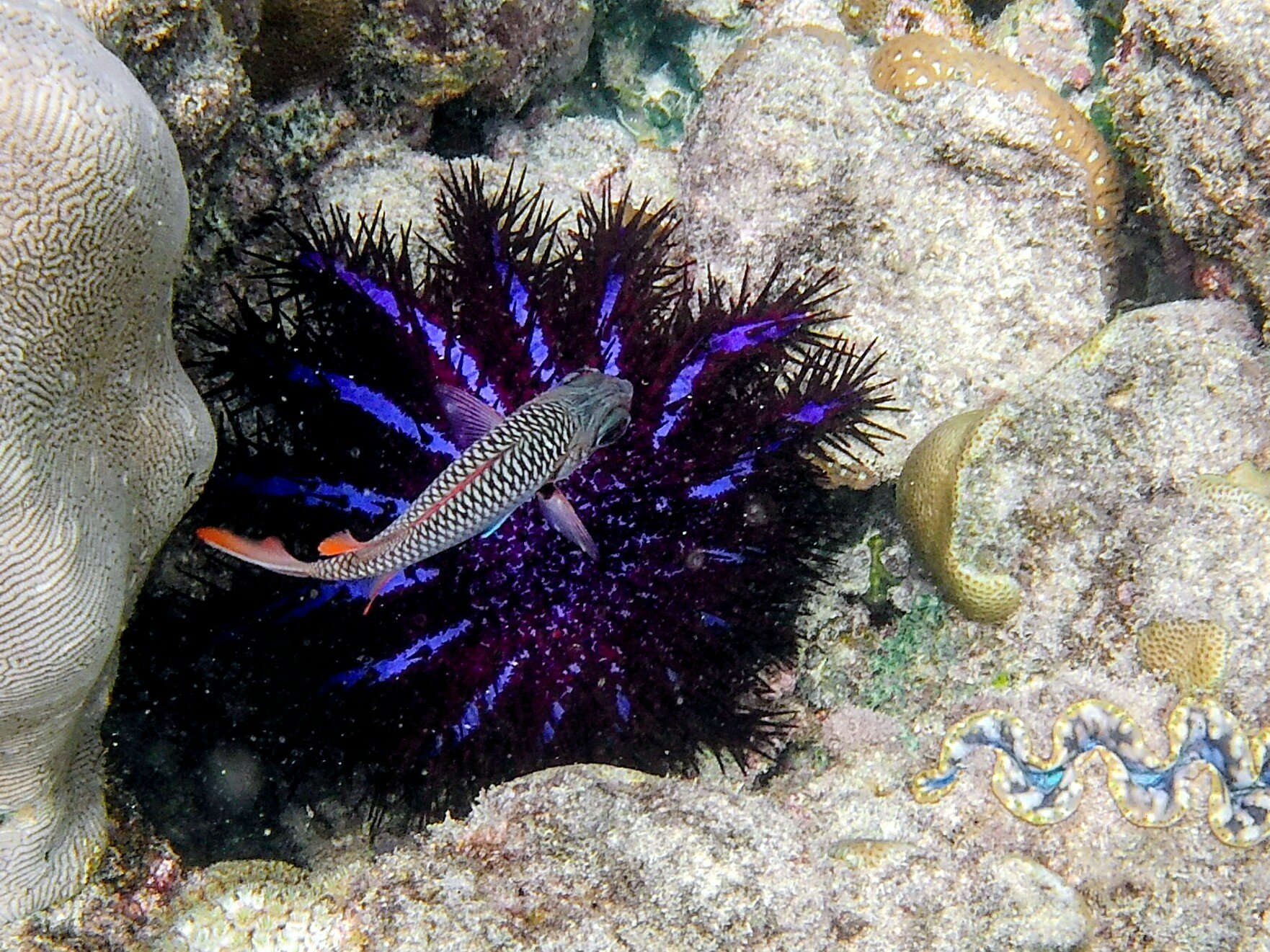 Фото Equator Village 