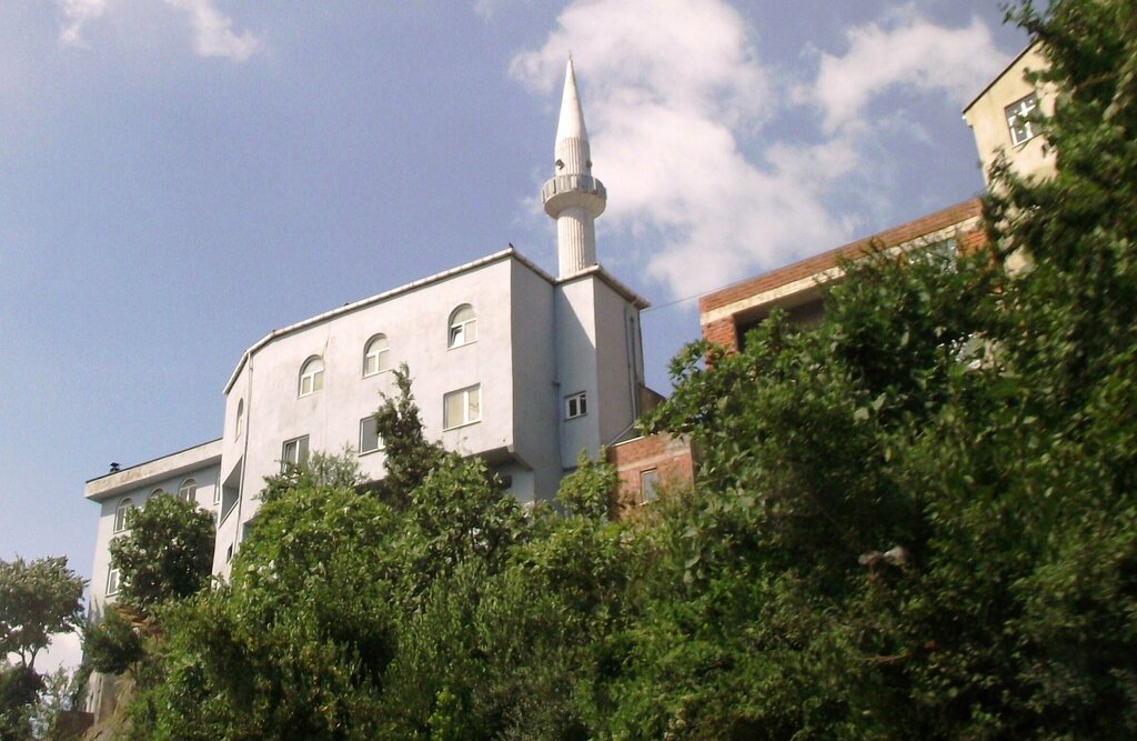 Mosque Baglik New Neighborhood Mosque, Zonguldak, photo