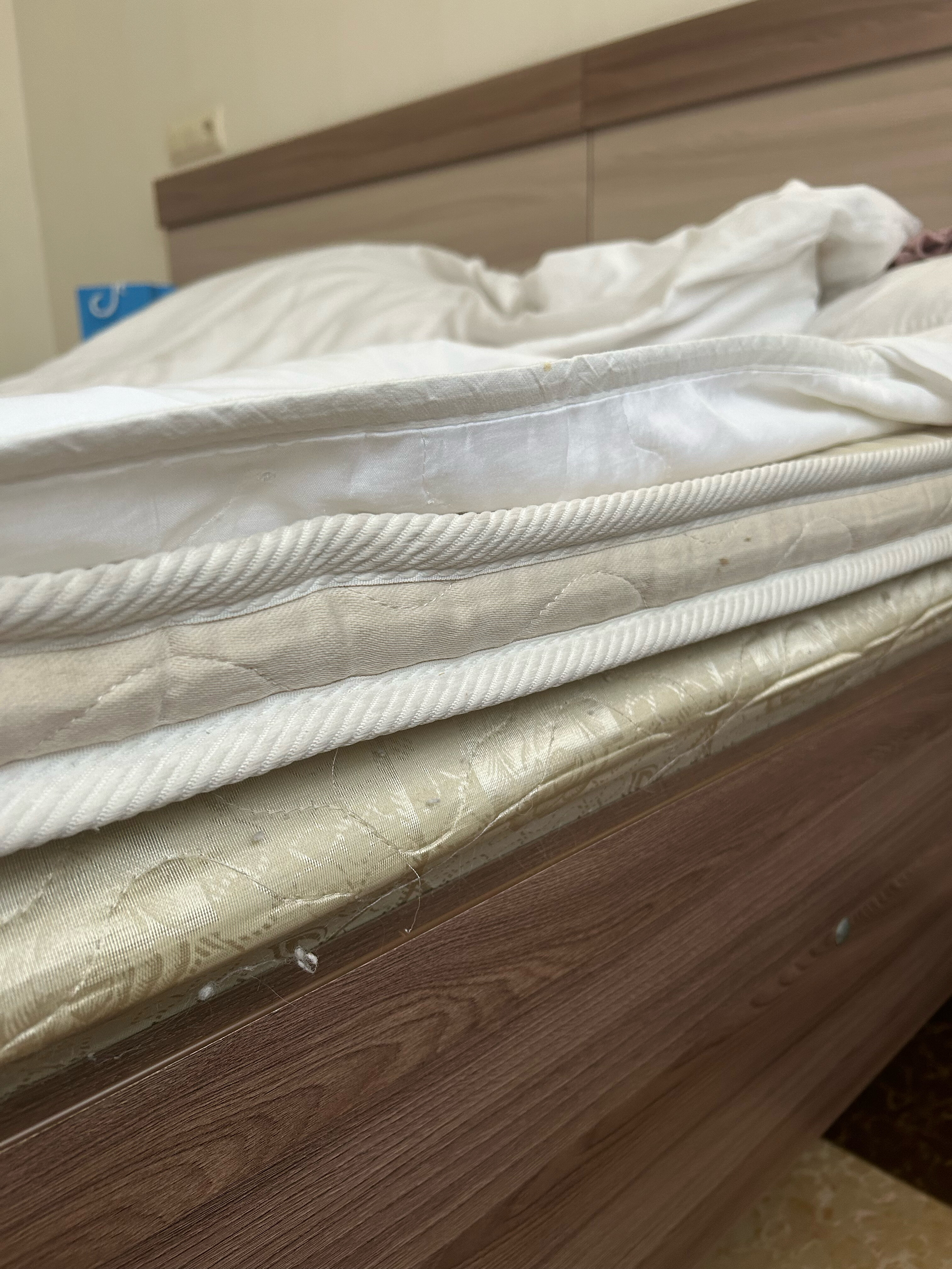 Фото Фестиваль